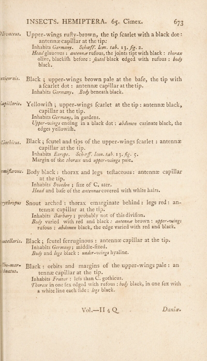 )li'vaceus. Upper-wings nifty-brown, the tip fcarlet with a black dot: antennae capillar at the tip: Inhabits Germany, Schceff. lean. tab. 13•_/%• 2. Head glaucous : antennae rufous, the joints tipt with black : thorax olive, blackifh before : fcutel black edged with rufous : body black. sticorms. Black ; upper-wings brown pale at the bafe, the tip with a fcarlet dot : antennae capillar at the tip. Inhabits Germany. .Body beneath black. \ apiilans. Yellowifh ; upper-wings fcarlet at the tip : antennx black, capillar at the tip. Inhabits Germany, in gardens. Upper-wings ending in a black dot: abdomen carinate black, the edges yellowifh. iGothicus. Black; fcutel and tips of the upper-wings fcarlet : antenna? capillar at the tip. Inhabits Europe. Schaejjf, Icon, tab, 13 * fig- Margin of the thorax and upper-wings pale. ' ymiflavus. Body black : thorax and legs teftaceous: antennae capillar at the tip. Inhabits Sweden ; lize of C. ater. Head and bafe of the antennae covered with white hairs. ythropus Snout arched : thorax emarginate behind : legs red: an¬ tennae capillar at the tip. Inhabits Barbary ; probably not of this divifion. Body varied with red and black : antenna brown : upper-wings rufous ; abdomen black, the edge varied with red and black. utellaris. Black ; fcutel ferruginous : antennae capillar at the tip. Inhabits Germany; middle-fized. Body and legs black : under-wings hyaline. 'ho-mar. inatus• Black : orbits and margins of the upper-wings pale : an tennae capillar at the tip. Inhabits France : leis than C. gothicus. Thorax in one lex edged with rufous : body black, in one fex with a white line each fide: leas black. Vo]*—II 4 Qf, Danhx*