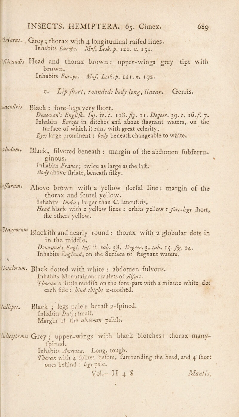 friatus. Grey ; thorax with 4 longitudinal raifed lines. Inhabits Europe. Mnf. lesk.p. 121. n. 131. fcicaudis Head and thorax brown ; upper-wings grey tipt with brown. Inhabits Europe. Muf. Lesk.p. 192. c. Lip jhorty rounded: body long, linear. Gerris. uacudris Black : fore-legs very fhort. Donovan's Englijh. Inj. iv. t. 1 ift.fg. 11. Degeer. 39. 1S.f. 7. Inhabits Europe in ditches and about ftagnant waters, on the furface of which it runs with great celerity. Eyes large prominent : body beneath changeable to white. zludum• Black, filvered beneath : margin of the abdomen fubferru- ginous. Inhabits France ; twice as large as the lath Body above fhdate, beneath filky. jffarum. Above brown with a yellow dorfal line: margin of the thorax and fcutel yellow. Inhabits Inaia; larger than C. laucufcris. Head black with 2 yellow lines : orbits yellow r fore-legs fhort, the others yellow. 51 agnatum Blackfill' and nearly round: thorax with 2 globular dots in in the middle. Donovan s Engl. Inf. ii. tab. 38. Degeer. 3. tab. I $*fg. 24. Inhabits England, on the Surface of flagnant waters, \ ivulorum. Black dotted with white : abdomen fulvous. Inhabits Mountainous rivulets of Alface. Thorax a little reddifh on the fore-part with a minute white dot each fide : hind-thighs 2-toothtd. lallipes. Black ; legs pale : bread 2-fpined. Inhabits Italy; fmall. Margin of the abdomen paliih. Cubic J ormis Grey ; upper-wings with black blotches: thorax many- fpined. Inhabits America. Long, rough. Thorax with 4 fpines before, furrounding the head, and 4 fhort ones behind ; legs pale. \ oh Mantis, II 4 S