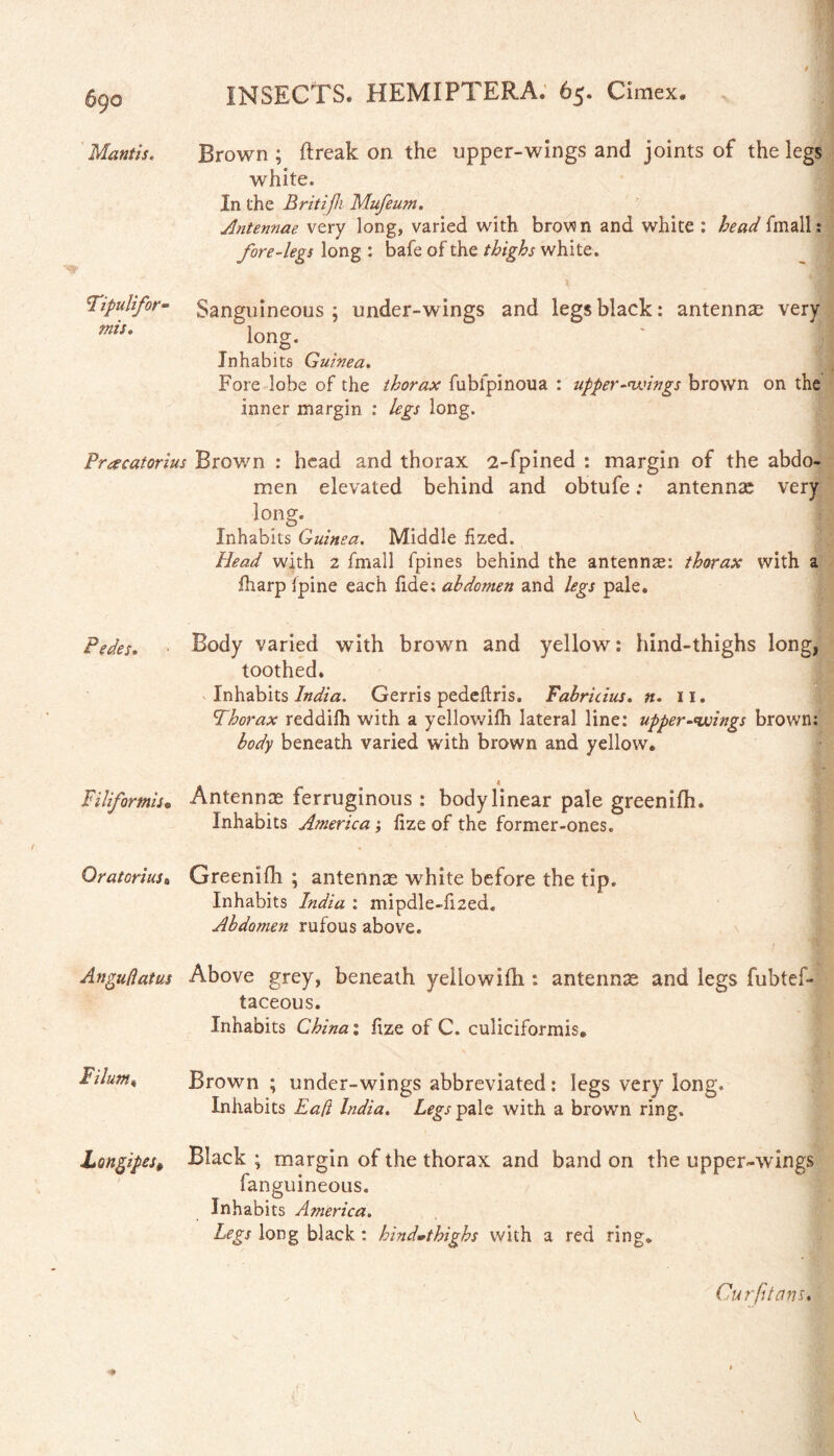 r 690 INSECTS. HEM I FT ERA. 65. Cimex, Mantis, Brown ; ftreak on the upper-wings and joints of the legs white. In the Britijh Mufeum. Antennae very long, varied with brow n and white : head fmall: fore-legs long : bafe of the thighs white. Tipulifor- mis. % ■; Sanguineous ; under-wings and legs black: antennae very long.  I Inhabits Guinea. Fore lobe of the thorax fubfpinoua : upper-wings brown on the inner margin : legs long. Pracatorius Brown : head and thorax 2-fpined : margin of the abdo- men elevated behind and obtufe; antennae very long. Inhabits Guinea. Middle fized. Head with 2 fmall fpines behind the antenna: thorax with a fharp Ipine each fi.de; abdomen and legs pale. Pedes. Body varied with brown and yellow: hind-thighs long, toothed. Inhabits India. Gerris pedeftris. Fabricius. n. n. Thorax reddilh with a yellowifh lateral line: upper-wings brown; body beneath varied with brown and yellow. Filiformis• Antennas ferruginous : body linear pale greenifh. Inhabits America; fize of the former-ones. Oratorius« Greenifh ; antennas white before the tip. Inhabits India : mipdle-fized. Abdomen rufous above. An gull at us Above grey, beneath yellowifh: antennas and legs fubtef- taceous. Inhabits China % fize of C. culiciformis. Filum* Brown ; under-wings abbreviated: legs very long. Inhabits Eaft India. Legs pale with a brown ring. Longipes* Black ; margin of the thorax and band on the upper-wings fanguineous. Inhabits America. Legs long black: hind»thighs with a red ring* Cur filans.