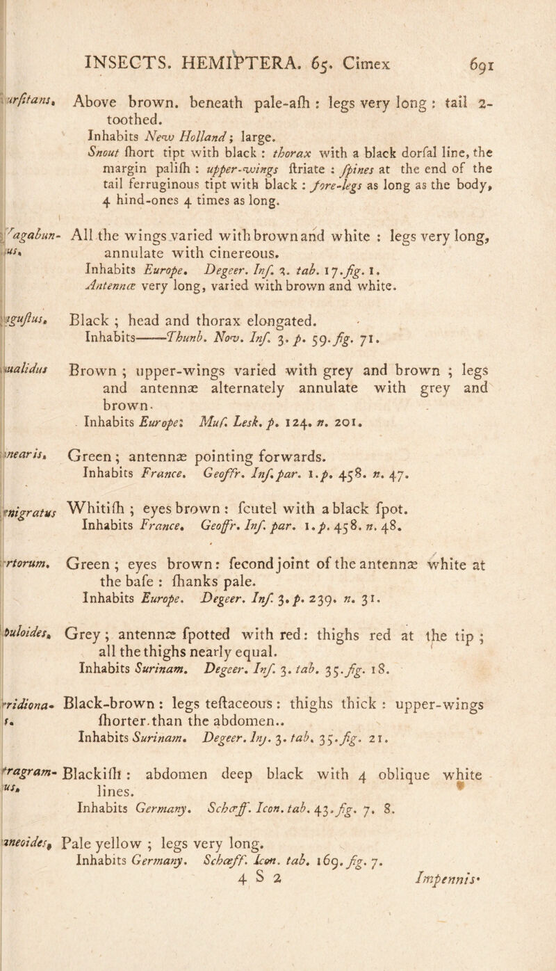 ' INSECTS. HEMIPTERA. 65. Cimex 691 *rfitans, Above brown, beneath pale-aih : legs very long : tail 2- toothed. Inhabits New Holland; large. Snout fhort tipt with black : thorax with a black dorfal line, the margin palifh : upper-wings ftriate ; fpines at the end of the tail ferruginous tipt with black : fore-legs as long as the body, 4 hind-ones 4 times as long. 1 7agabun~ All the wings varied with brown and white : legs very long, us* annulate with cinereous. Inhabits Europe. Degeer. Inf, 3. tab. \J.fg. I. Antennae very long, varied with brown and white. \ » iguflust Black ; head and thorax elongated. Inhabits--Thunb. AW. Inf. 3. p. 59. fig. 71. validus Brown ; upper-wings varied with grey and brown ; legs and antennas alternately annulate with grey and brown. Inhabits Europel Muf. Lesk. p. 124. n. 201. mearis, Green; antennae pointing forwards. Inhabits France. Geoffr. Inf par. i.p. 458. n. 47. migratus Whitifh ; eyes brown: fcutel with a black fpot. Inhabits France• Geoffr. Inf par. l.p. 458. n. 48. rtorum. Green; eyes brown: fecond joint of the antennas white at the bafe : fhanks pale. Inhabits Europe. Degeer. Inf 3* A 239» »• 31* t>uloides% Grey; antennae fpotted with red: thighs red at the tip ; all the thighs nearly equal. Inhabits Surinam. Degeer. Inf 3. tab. ^.fg. 18. ridiona• Black-brown : legs teftaceous : thighs thick : upper-wings r. fhorter.than the abdomen.. Inhabits Surinam. Degeer. Inj. 3. tab, 35. fig. 21. tragram- Blackilli : abdomen deep black with 4 oblique white us* lines. Inhabits Germany. Schcrjf. Icon. tab. 7. 8. weoides9 pale yellow ; legs very long. Inhabits Germany. Schaeff. Icon. tab. 169, fig' 7-