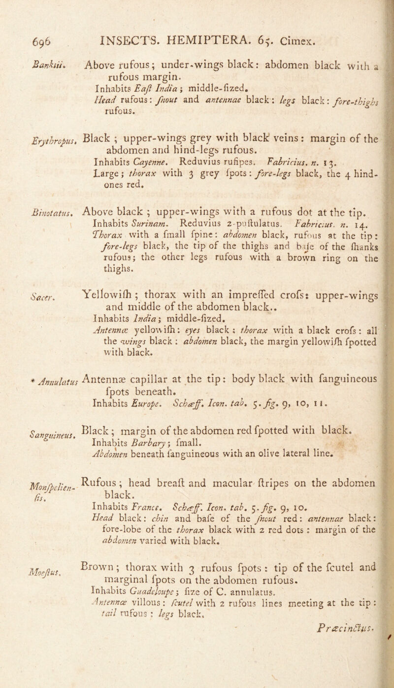 Banksiu Above rufous; under-wings black: abdomen black with a rufous margin. Inhabits Eaji India ; middle-fized. Head rufous: fnout and antennae black : legs black: fore-thighs rufous. *'* Erythropus. Black ; upper-wings grey with black veins : margin of the abdomen and hind-legs rufous. Inhabits Cayenne. Reduvius rufipes. Fabricius, n. 13. Large; thorax with 3 grey (pots : fore-legs black, the 4 hind- ones red. Binotatus. Above black ; upper-wings with a rufous dot at the tip. Inhabits Surinam. Reduvius 2-pullulatus. Fabricius. n. 14. Thorax with a fmall fpine: abdomen black, rufous at the tip: fore-legs black, the tip of the thighs and bale of the lhanks rufous; the other legs rufous with a brown ring on the thighs. Sacer. Yellowifh ; thorax with an imp relied crofss upper-wings and middle of the abdomen black.. Inhabits Indian middle-fized. Antennaz yellowifh: eyes black; thorax with a black crofs: ail the wings black : abdomen black, the margin yellowifh fpotted with black. * Amulatus Antennae capillar at the tip: body black with fanguineous fpots beneath. Inhabits Europe. Schaff. Icon, tab. $.fg. 9, 10, 1 I. Sanguineus. Black; margin of the abdomen red fpotted with black. Inhabits Barbary; fmall. Abdomen beneath fanguineous with an olive lateral line. Monfpelien- ^-u^ous \ head bread and macular dripes on the abdomen f1St black. Inhabits France. Schreff. Icon. tab. 3. fg. 9, 10, Head black: chin and bafe of the fnout red: antennae black: fore-lobe of the thorax black with 2 red dots : margin of the abdomen varied with black. Brown ; thorax writh 3 rufous fpots : tip of the fcutel and marginal fpots on the abdomen rufous. Inhabits Guadeloupe; fize of C. annulatus. Antennae villous: fcutel with 2 rufous lines meeting at the tip: tail rufous : legs black. Pr acinftys.