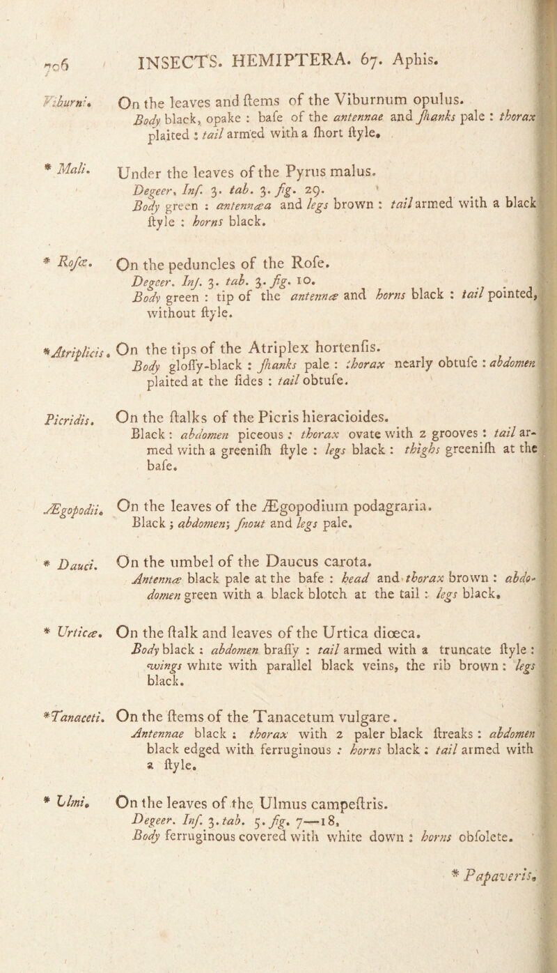 fihurni* * Mali. * Atriplicis. Fieri dis» JEgopodiio # Dauci. * Urticae» *Tanaceti. * L/tfz/» On the leaves and Hems of the Viburnum opulus. black, opake : bafe of the antennae and Jhanks pale : thorax plaited • tail armed with a Ihorl ftyle. Under the leaves of the Pyrus malus. Degeer, Inf 3. //2^. 3* fg- 2 9• i?0^y green : antenn^ea and brown : tazV armed with a black ftyle : horns black. On the peduncles of the Rofe. Degeer. InJ. 3. tab. 3. 7%* IO® iWy green : tip of the antennee and black : tail pointed, without ftyle. On the tips of the Atriplex hortenfis. Body glofi'y-black : Jhanks pale : thorax nearly obtufe : abdomen plaited at the fides : tail obtufe. On the Balks of the Picris hieracioides. Black : abdomen piceous : thorax ovate with z grooves : tail ar¬ med with a greenifh ftyle : legs black : thighs greenifh at the bafe. / On the leaves of the TEgopodium podagraria. Black ; abdotnen; fnout and legs pale. On the umbel of the Daucus carota. Antenna black pale at the bafe : head and thorax brown : abdo* domen green with a black blotch at the tail : legs black. On the Balk and leaves of the Urtica dioeca. Body black : abdomen brafiy : tail armed with a truncate ftyle : nvings white with parallel black veins, the rib brown: legs black. On the flems of the Tanacetum vulgare. Antennae black ; thorax with 2 paler black ftreaks : abdomen black edged with ferruginous .* horns black ; tail armed with a ftyle. On the leaves of the Ulmus campeBris. Degeer. Inf. 3. tab. 5.7%. 7—*l8. Body ferruginous covered with white down : horns obfolete. # Papaveris*
