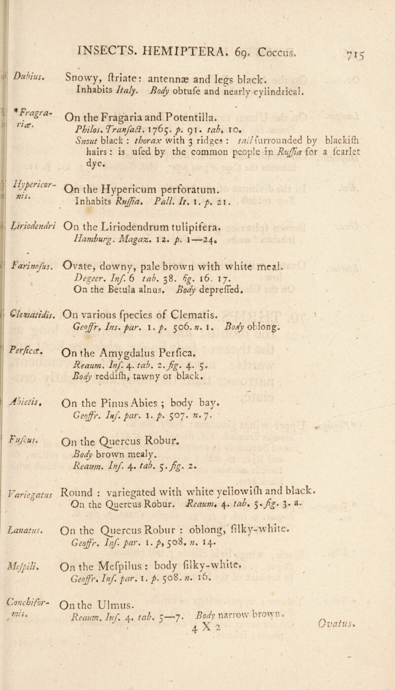 I INSECTS. HEMIPTERA, 6g. Coccus. 71: Dubius, Snowy, ftriate: antennae and legs black. Inhabits Italy. Body obtufe and nearly cylindrical. Fragra- Qn Fragaria and Potentilla. Philos, cTranfa£l, 1765. p. gi. tab, 10, Snout black : thorax with 3 ridges : tailmrrounded by blackifh hairs: is ufed by the common people in Raffia for a fcarlct dye. * \ Hyper'uor- Qn t^e Hypericum perforatum. 777 f ^ 1 Inhabits Ruffia, Pall. It. 1. p. 21» Liriodendri On the Liriodendrum tulipifera. Hamburg. Magaz. 12. p. 1—24« Farinofus. Ovate, downy, pale brown with white meal. Degeer. Inf. 6 tab. 38. 16. 17. On the Betula alnus. Body deprefied. Clematidis. On various fpecies of Clematis. Geoffir. Ins. par. 1. p. 506.n.i, Body oblong. Perfect. On the Amygdalus Perfica, Reaum. Inf. 4. tab. 2.fig. 4. 5- Body reddifh, tawny or black. * !• Abietis, On the Pinus Abies ; body bay. Geoffir. Inf. par. I. p. 507. n.j. 1 Fufcus. On the Quercus Robur. Body brown mealy. Reaum. Inf. 4* tab. $.fg. 2. Variegatus 1 s Round : variegated with white yeilowifh and black On the Quercus Robur. Reaum, 4. tab, 5. fg. 3. a. Lanatus. On the Quercus Robur : oblong, filky-white. Geoffir. Inf par. \.p-> 508. n, 14. Mejpili. \ On the Mefpilus : body filky-white. Geoffir• Inf. par. I. p. 508. n. 16. Conch ifor¬ mis. / On the Ulmus. Reaum. Inf. 4. tab. 5—7* Body xiarrow brown. 4X2 Ovatus.