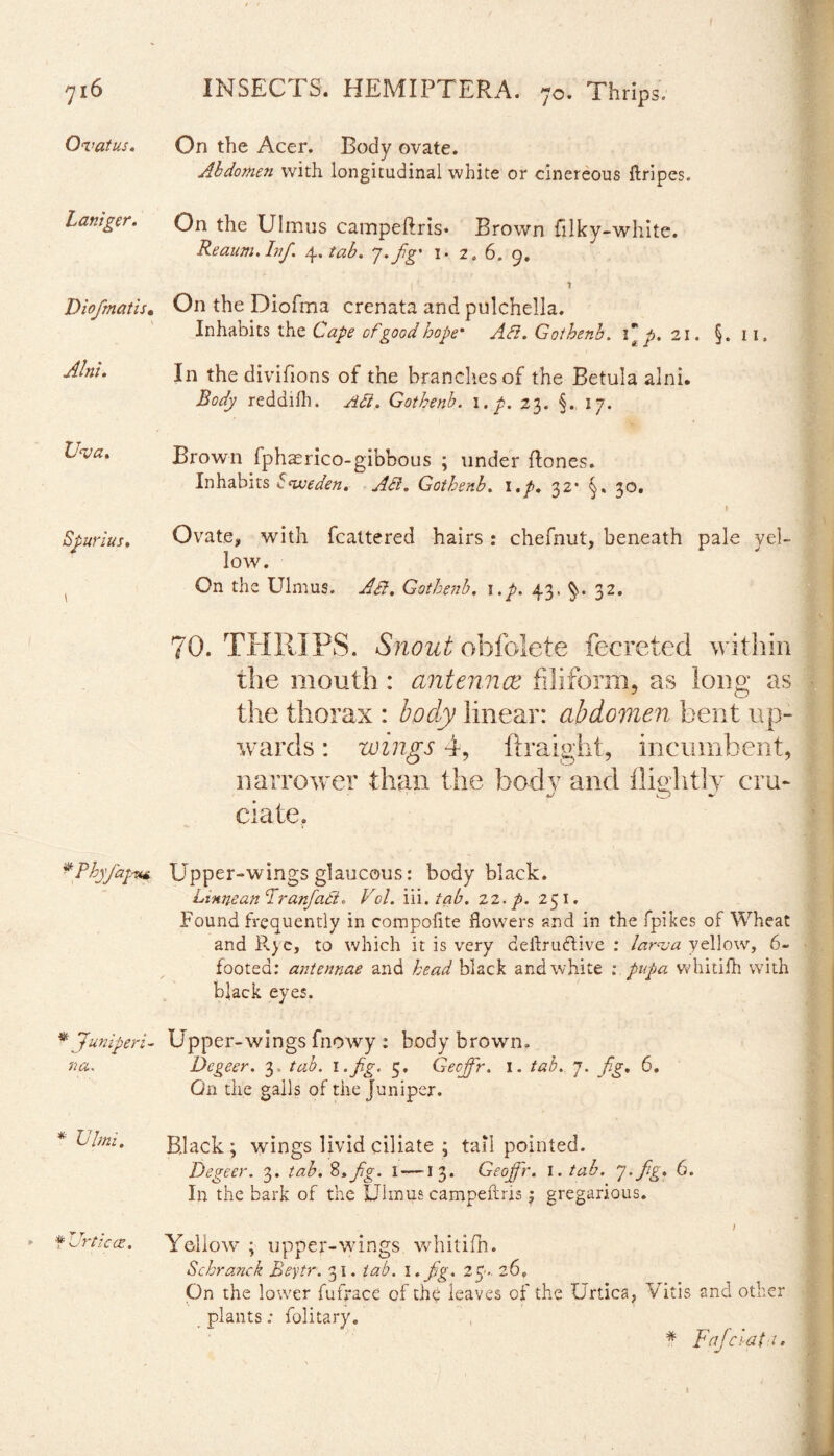 Ovatus. Lamger. Diofmatis. Alni. Uva. Sfurius. * Phyfaj.v* * Juniperi- iia. * Ulmi. f Urticas. On the Acer. Body ovate. Abdomen with longitudinal white or cinereous ftripes. On the Ulnaus campeftris* Brown filky-white. Reaum.Inf. y.tab. p.fg' !• 2. 6. 9. i' ’ On the Diofma crenata and pulchella. Inhabits the Cape of good hope* Aft. Gothenb. 1 p. 21. §. 11. In thedivifions of the branches of the Betula alni. Body reddilh. Act. Gothenb. i.p. 23. §. 17. Brown fphaerico-gibbous ; under Rones. Inhabits hvseden. Act. Gothenb. l.p. 32* 30. I Ovate, with fcattered hairs: chefnut, beneath pale yel¬ low. On the Ulmus. Act. Gothenb. 1 .p. 43. 32. 70. THRIPS. Snout obfolete fecreted within the mouth : antennce filiform, as long as the thorax : body linear: abdomen bent up¬ wards : wings 4, ftraight, incumbent, narrower than the body and fliditly cm- w_) ^ date. Upper-wings glaucous: body black. Lmneanfranfact„ Pol. iii.tab. 22.p. 251. Found frequently in compofite flowers and in the fpikes of Wheat and Rye, to which it is very deftruftive : larva yellow, 6- footed: antennae and head black and white : pupa whitifh with black eyes. Upper-wings fnowy : body brown. Dcgeer. 3. tab. i.fig. 5. GecJJr. 1. tab. 7. Jig. 6. On the galls of the Juniper. Black ; wings livid ciliate ; tail pointed. Degeer. 3. tab. %*fg. I—13. Geojfr. 1. tab. J-fg. 6. In the bark of the Ulmus campeftris; gregarious. / Yellow ; upper-wings whitifh. Schranck Beytr. 31. tab. 1 .fig. 27. 26» On the lower fufrace of the leaves of the Urtica, Vitis and other plants: folitary. * Fafciat