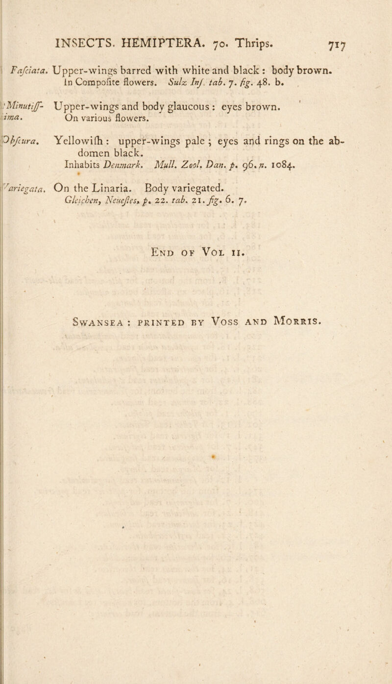 Fafciata. Upper-wings barred with white and black: body brown, in Compoflte flowers. Sulz Inj tab. 7. fig. 48. b. 'Minutijf- ima. Upper-wings and body glaucous : eyes brown. On various flowers. 3bfura. Yellowifh : upper-wings pale ; eyes and rings on the ab domen black. Inhabits Denmark. Mull. Zool. Dan. p* 96.«. 1084. • ' 7ariegata. On the Linaria. Body variegated. Gleifhen, Ncuejles* p* 22. tab. 21. fig» 6. 7. \ . ; , End of Vol ii. Swansea : printed by Voss and Morris.