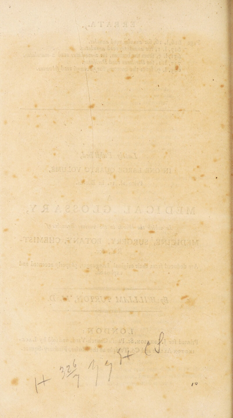 % - w *■ , * 4 * i >• i. - 1 \ f .♦ V- ■w* «t i / ' /*? ■'*■■•  -r >, r1 * 1 , L h $ fV