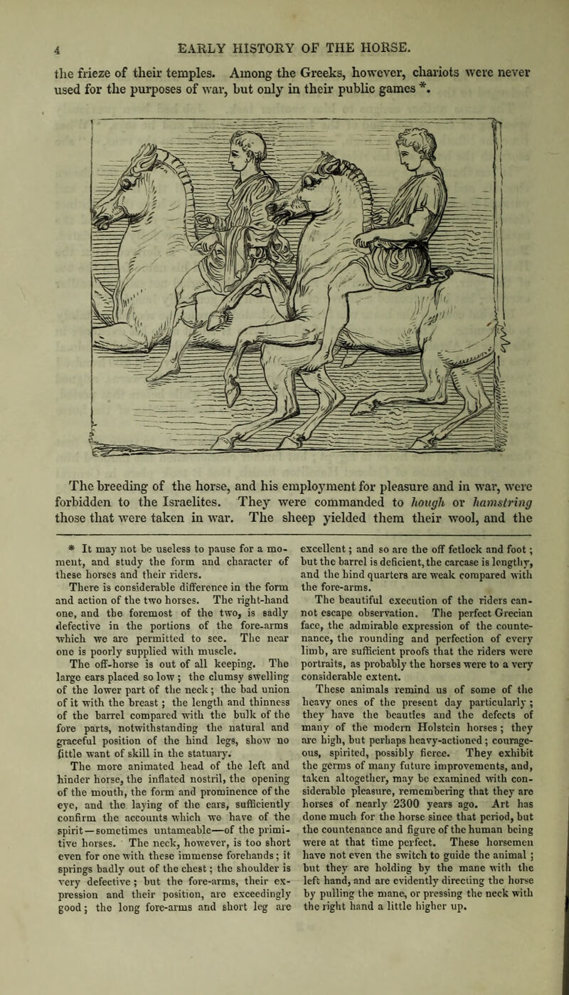 tlie frieze of their temples. Among the Greeks, however, chariots were never used for the purposes of war, but only in theu' public games *. The breeding of the horse, and his employment for pleasure and in war, were forbidden to the Israelites. They were commanded to hough or hamstring those that were taken in war. The sheep yielded them their wool, and the * It may not be useless to pause for a mo¬ ment, and study the form and character of these horses and their riders. There is considerable difference in tbe form and action of the two horses. The right-hand one, and the foremost of the two, is sadly defective in the portions of the fore-arms which we are permitted to see. The near one is poorly supplied with muscle. The off-horse is out of all keeping. The largo ears placed so low ; the clumsy swelling of the lower part of the neck; the bad union of it with the breast; the length and thinness of the barrel compared with the bulk of tbe fore parts, notwithstanding the natural and graceful position of the bind legs, show no (ittle want of skill in the statuary. The more animated head of the left and hinder horse, the inflated nostril, the opening of the mouth, the foim and prominence of the eye, and the laying of the ears, suflQciently confirm the accounts which wo have of the spirit —sometimes untameable—of the primi¬ tive horses. The neck, however, is too short even for one with these immense forehands; it springs badly out of the chest; the shoulder is very defective; but the fore-arms, their ex¬ pression and their position, are exceedingly good; the long fore-arms and short leg are excellent; and so are the off fetlock and foot; but the barrel is deficient, the carcase is lengthy, and the hind quarters are weak compared witli the fore-arms. The be.autiful execution of the riders can¬ not escape observation. The perfect Grecian face, tlie admirable expression of the counte¬ nance, the rounding and perfection of every limb, are sufficient proofs that the riders were portraits, as probably the horses were to a very considerable extent. These animals remind us of some of the heavy ones of the present day particularly ; they have the beauties and the defects of many of the modem Holstein horses; they are high, but perhaps heavy-actioned ; courage¬ ous, spirited, possibly fierce. They exhibit the germs of many future improvements, and, taken altogether, may be examined with con¬ siderable pleasure, remembering that they are horses of nearly 2300 years ago. Art has done much for the horse since that period, but the countenance and figure of the human being were at that time perfect. These horsemen have not even the switch to guide the animal; but they are holding by the mane with the left hand, and are evidently directing tbe horse by pulling the mane, or pressing the neck with the right hand a little higher up.