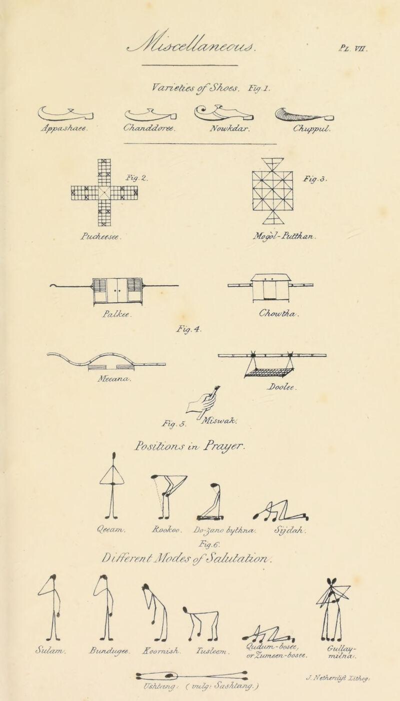 Pz vzz. Yanehos ofSAoeo. Fiji. ^PppcuAuiee. C/Auuulelorw. 2VowAu&zr. CAuppul. J Frp.Z. PiuJieesee. L S'ula Meeance. ff CAmetAn.. .Doolee. JVfiSieaJc. Fy.j. Posilu>7i<s in frcu/er. Y i I A /Du Qeea/Tb . JtooAroo. Do-jaeu> iylA.nn. . SfeHnA. Fig.e. D /. ffero/i t Afodes of Safulaizon. DsAZnne/; ( welp: SasAZanp.) O. NeOurcli/l ZiOioy.-