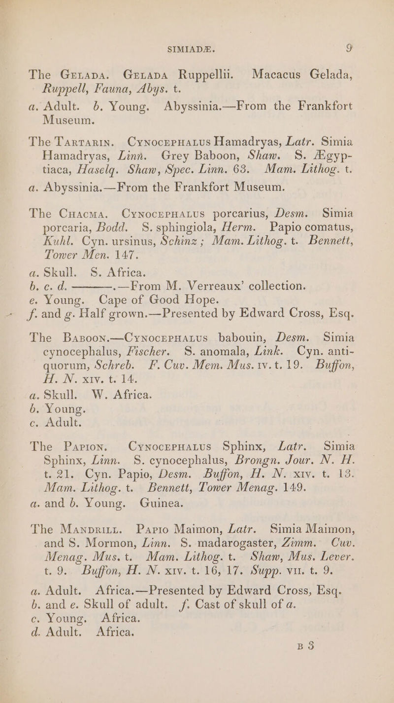 The Getapa. Gerxtapa Ruppellii. Macacus Gelada, Ruppell, Fauna, Abys. t. a, Adult. 6. Young. Abyssinia.—From the Frankfort Museum. The Tartarin. CynocrepHatus Hamadryas, Latr. Simia Hamadryas, Linn. Grey Baboon, Shan. S. Agyp- tiaca, Haselg. Shaw, Spec. Linn. 63. Mam. Lithog. t. a. Abyssinia.—From the Frankfort Museum. The Cuacma. CynocrrHatus porcarius, Desm. Simia porearia, Bodd. S.sphingiola, Herm. Papio comatus, Kuhi. Cyn. ursinus, Schinz ; Mam. Lithog. t. Bennett, Tower Men. 147. a. Skull. §. Africa. fs et. .—From M. Verreaux’ collection. e. Young. Cape of Good Hope. f. and g. Half grown.—Presented by Edward Cross, Esq. The Basoon.—CynocePpHaLus babouin, Desm. Simia cynocephalus, Fischer. S. anomala, Link. Cyn. anti- quorum, Schreb. F. Cuv. Mem. Mus.1v.t.19. Buffon, Hs Ns Xtv. ts 14 a. Skull. W. Africa. 6. Young. Gauxeult: The Papion. CynocepHatus Sphinx, Latr. Simia Sphinx, Linn. S.cynocephalus, Brongn. Jour. N. H. t. 21. Cyn. Papio, Desm. Buffon, H. N. xiv. t. 13. Mam. Lithog. t. Bennett, Tower Menag. 149. a. and 6. Young. Guinea. The Manpritzt. Paprto Maimon, Latr. Simia Maimon, and S. Mormon, Linn. S. madarogaster, Zimm. Cuv. Menag. Mus.t. Mam. Inthog. t. Shaw, Mus. Lever. £..9:; BuffonpieN. xiv. to lop lp. Supp. vin t., 9. . Adult. Africa.—Presented by Edward Cross, Esq. . and e. Skull of adult. f. Cast of skull of a. . Young. Africa. . Adult. Africa. Soe SD BO