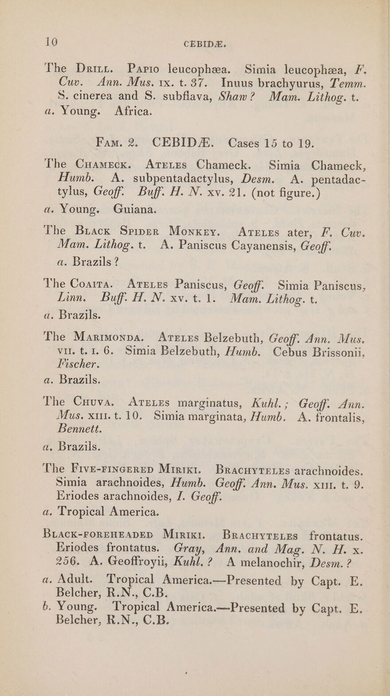 16 CEBIDA. The Dritt. Papio leucophea. Simia leucophea, F. Cuv. Ann. Mus. 1x. t.37. Inuus brachyurus, Temm. S. cinerea and S. subfiava, Shaw? Mam. Lithog. t. a. Young. Africa. Fam. 2. CEBIDA. Cases 15 to 19. The Cuamecx. Atretes Chameck. Simia Chameck, Humb. A. subpentadactylus, Desm. A. pentadac- tylus, Geoff Buff. H. N. xv. 21. (not figure.) a. Young. Guiana. The Brack Spiper Monkey. Areezs ater, F. Cuv. Mam. Inthog.t. A. Paniscus Cayanensis, Geoff. a. Brazils ? The Coarra. Areres Paniscus, Geoff. Simia Paniscus, Linn. Buff. H. N. xv. t.1. Mam. Lithog. t. a. Brazils. The Marimonpa. Areres Belzebuth, Geoff. Ann. Mus. vir. t.1. 6. Simia Belzebuth, Humb. Cebus Brissonii. Fischer. a. Brazils. The Cuuva. Arerzs marginatus, Kuhl.; Geoff. Ann. Mus. xu.t.10. Simia marginata, Humb. A. frontalis, Bennett. a, Brazils. The Frve-rincerep Mirrxi. Bracuytenes arachnoides. Simia arachnoides, Humb. Geoff. Ann. Mus. xun. t. 9. Eriodes arachnoides, J. Geoff. a. Tropical America. BLACK-FOREHEADED Muirixi. Bracuyrexes frontatus. Eriodes frontatus. Gray, Ann. and Mag. N. H. x. 256. A. Geoffroyii, Kuhl, ? A melanochir, Desm. ? a. Adult. Tropical America.—Presented by Capt. E. Belcher, R.N., C.B. b. Young. Tropical America.—Presented by Capt. E. Belcher, R.N., C.B.