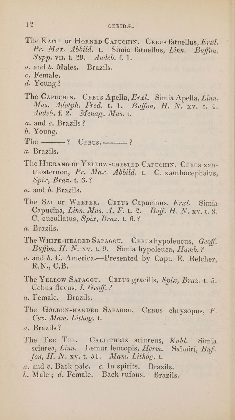 The Karrz or Hornep Carucuin. Crsus fatuellus, ral. Pr. Max. Abbild. t. Simia fatuellus, Linn. Buffon, Supp, vit. 29. ~, Audeb. f. 1. a. and 6. Males. Brazils. c. Female. d. Young? The Capucuin. Crsus Apella, Eral. Simia Apella, Linn. Mus. Adolph. Fred. t. 1. Buffon, H. N. xv. t. 4. Audeb. f. 2. Menag. Mus. t. a. and c. Brazils? b. Young. The a. Brazils. ? Crsus. The Hrerane or YELLOW-cHESTED Capucuin. CEezsus xan- thosternon, Pr. Max. Abbild. t. C. xanthocephalus, Spd, Bras. t. 3x t a. and 6. Brazils. The Sar or WeErer. Crpus Capucinus, Krai. Simia Capucina, Linn. Mus. A. F.t. 2. Buff. H. N. xv. t. 8. C. cucullatus, Spx, Braz. t. 6.? a. Brazils. The Wuitr-nzapep Sapacov. Crxsushypoleucus, Geof. Buffon, H. N. xv. t. 9. Simia hypoleuca, Humb. ? a. and b, C. America.—Presented by Capt. E. Belcher, R.N., C.B. The Yetrow Sapacou. Crpsus gracilis, Spix, Braz. t. 5. Cebus flavus, /. Geoff. ? a. Female. Brazils. The GoLpEN-HANDED Sapacov. Crsus chrysopus, F. Cuv. Mam. Lithog. t. a. Brazils? The Trex Ter. Catiirurix sciureus, Kuhl. Simia sciurea, Linn. Lemur leucopis, Herm. Saimiri, Buf- fon, H. N. xv. t. 51. Mam. Lithog. t. a. and c. Back pale. e. In spirits. Brazils. 6. Male; d. Female. Back rufous. Brazils.