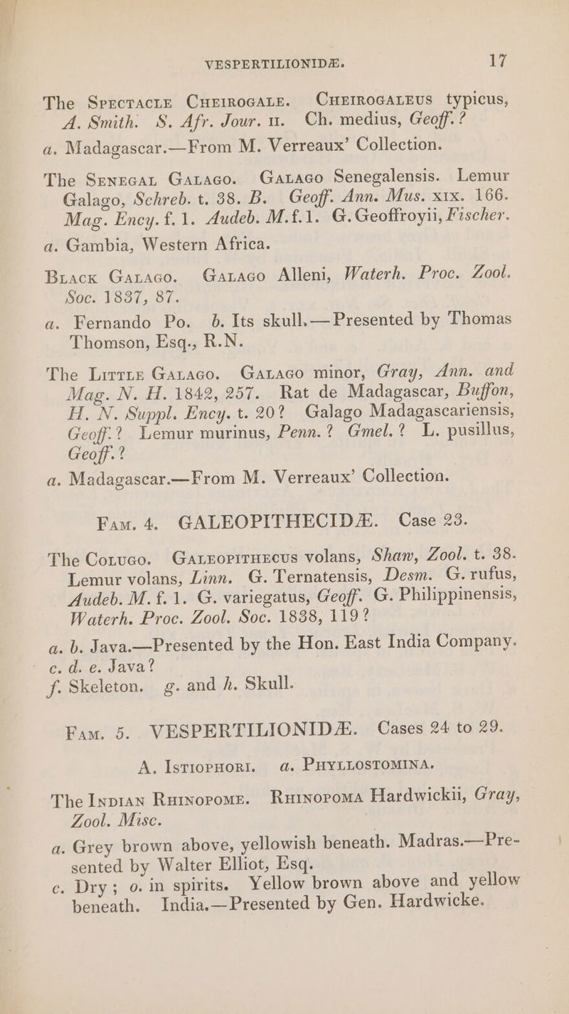 The Sprcracte CHEIROGALE. CHEIROGALEUS typicus, A. Smith: S. Afr. Jour. u. Ch. medius, Geoff. ? a. Madagascar.—From M. Verreaux’ Collection. The Senrcat Gataco. Gataco Senegalensis. Lemur Galago, Schreb. t. 38. B. Geoff. Ann. Mus, xix. 166. Mag. Ency.f.1. Audeb. M.f.1. G. Geoffroyii, Fischer. a. Gambia, Western Africa. Buacx Gazaco. Garaco Alleni, Waterh. Proc. Zool. Bde. (807 .'Oi. a. Fernando Po. 6. Its skull. — Presented by Thomas Thomson, Esq., R.N. The Lirrte Gataco. Gataco minor, Gray, Ann. and Mag. N. H. 1842, 257. Rat de Madagascar, Buffon, H. N. Suppl. Ency. t. 20? Galago Madagascariensis, Geoff.? Lemur murinus, Penn.? Gmel.? L. pusillus, Geoff.? a. Madagascar.—From M. Verreaux’ Collection. Fam. 4. GALEOPITHECIDE. Case 23. The Cotuco. Gatropiruecus volans, Shaw, Zool. t. 38. Lemur volans, Linn. G. Ternatensis, Desm. G. rufus, Audeb. M.f.1. G. variegatus, Geoff. G. Philippinensis, Waterh. Proc. Zool. Soc. 1838, 119? a. b. Java.—Presented by the Hon. East India Company. ce. d. e. Java? f. Skeleton. g. and h. Skull. Fam. 5. VESPERTILIONIDE. Cases 24 to 29. A. IstiopHorI. a. PHYLLOSTOMINA. The Lyp1an Rutworome. Rurnoroma Hardwick, Gray, Zool. Mise. a. Grey brown above, yellowish beneath. Madras.—Pre- sented by Walter Elliot, Esq. c. Dry; 0. in spirits. Yellow brown above and yellow beneath. India.—Presented by Gen. Hardwicke.