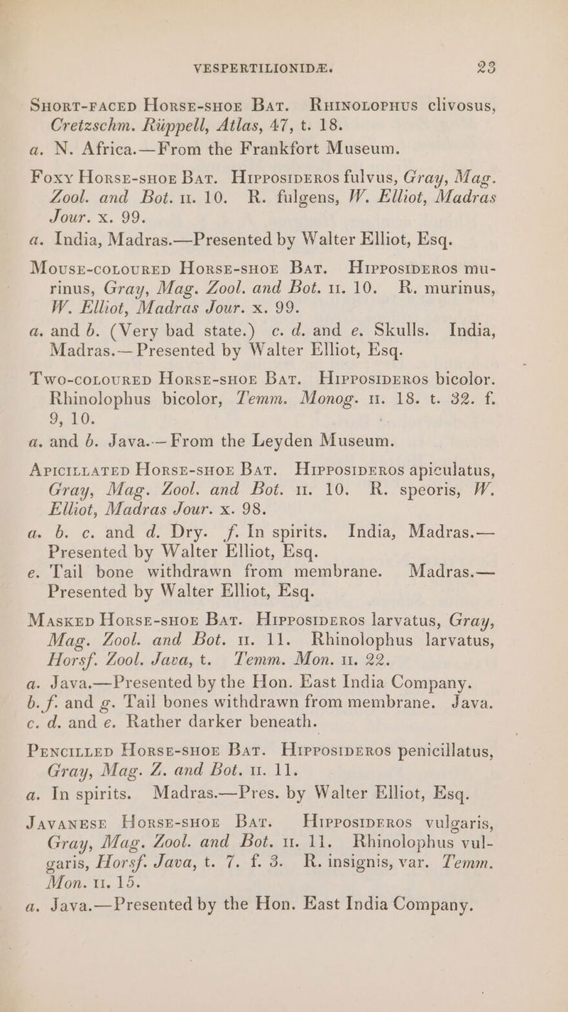 Snort-FAceD Horse-suor Bat. RurtNotornus clivosus, Cretzschm. Riippell, Atlas, 47, t. 18. a. N. Africa.—From the Frankfort Museum. Foxy Horss-suor Bar. HiprrosipEros fulvus, Gray, Mag. Zool. and Bot.u.10. R. fulgens, W. Elliot, Madras Jour. x. 99. a. India, Madras.—Presented by Walter Elliot, Esq. Movusr-cotourep Horssr-sHort Bat. HiprosipEros mu- rinus, Gray, Mag. Zool. and Bot. u.10. KR. murinus, W. Elhot, Madras Jour. x. 99. a, and 6. (Very bad state.) c.d. and e. Skulls. India, Madras.— Presented by Walter Elliot, Esq. Two-coLourRED Horsr-sHoe Bar. HurrosipEeros bicolor. Rhinolophus bicolor, Zemm. Monog. ui. 18. t. 32. f. eae RUE a, and 6. Java.—From the Leyden Museum. ApictnuATED Horsr-suor Bat. HupposipEros apiculatus, Gray, Mag. Zool. and Bot. u. 10. R. speoris, W. Elliot, Madras Jour. x. 98. a. 6. c. and d. Dry. f. In spirits. India, Madras.— Presented by Walter Elliot, Esq. e. Tail bone withdrawn from membrane. Madras.— Presented by Walter Elliot, Esq. Maskep Horse-suor Bar. Hripposiperos larvatus, Gray, Mag. Zool. and Bot. u. 11. Rhinolophus larvatus, Horsf. Zool. Java, t. Temm. Mon. u. 22. a. Java.—Presented by the Hon. Hast India Company. b. f. and g. Tail bones withdrawn from membrane. Java. c. d. and e. Rather darker beneath. PrencitteD Horse-suor Bat. Hrrposiperos penicillatus, Gray, Mag. Z. and Bot. u. 11. a. In spirits. Madras.—Pres. by Walter Elliot, Esq. Javanese Horse-sHor Bar. Hrpposipreros vulgaris, Gray, Mag. Zool. and Bot. u. 11. Rhinolophus vul- garis, Horsf. Java, t. 7. f. 3. R. insignis, var. Temm. Mon. 11. 15. a. Java.—Presented by the Hon. East India Company.