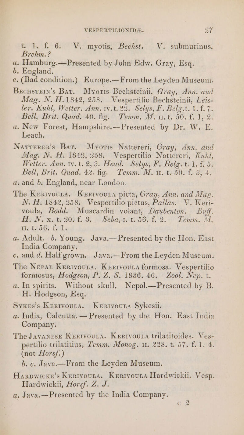 t 1. f. 6. V. myotis, Bechst. V. submurinus, Brehm. ? a. Hamburg.—Presented by John Edw. Gray, Esq. b. England. c. (Bad condition.) Europe.— From the Leyden Museum. Brcustern’s Bat. Myoris Bechsteinii, Gray, Ann. and Mag. N. H.1842, 258. Vespertilio Bechsteinii, Leis- ler. Kuhl, Wetter. Ann. 1v.t.22. Selys, F. Belg.t.1.f. 7. Bell, Brit. Quad. 40. fig. Temm, M. u.t. 50. f. 1, 2. a. New Forest, Hampshire.--Presented by Dr. W. E. Leach. Nartterer’s Bar, Myotis Nattereri, Gray, Ann. and Mag. N. H. 1842, 258. Vespertilio Nattereri, Kuhl, Wetter. Ann. tv. t. 2,3. Head. Selys, F. Belg. t.1. f. 5. Bell, Brit. Quad. 42. fig. Temm. Mu. t. 50. f. 3, 4. a. and 6. England, near London. The Kerivovra. Kerrivoura picta, Gray, Ann. and Mag. N. H. 1842, 258. Vespertilio pictus, Pallas. V. Keri- voula, Bodd. Muscardin volant, Daubenton. Buff. Ay N. xe ti 20) £..3. . Seba, ti 56. f, 2. Temm, M. He t256; fell. a. Adult. 6. Young. Java.—Presented by the Hon, East India Company. c. and d. Half grown. Java.—From the Leyden Museum. The Nepat Kerivouta. Kerivouta formosa. Vespertilio formosus, Hodgson, P. Z. S. 1836. 46. Zool. Nep. t. a. In spirits. Without skull, Nepal.—Presented by B. H. Hodgson, Esq. Syxes’s Krertvouta. Kerivouza Sykesil. a. India, Calcutta. — Presented by the Hon. East India Company. The JAVANESE KeErivouta. Kertvoura trilatitoides. Ves- pertilio trilatitius, Temm. Monog, u. 228. t. 57. f..1. 4. (not Horsf.) b. c. Java.—From the Leyden Museum. Harpwicke’s Kerivouta. Kerrivoura Hardwicki. Vesp. Hardwickii, Horsf. Z. J. a. Java.—Presented by the India Company. . ¢ 2