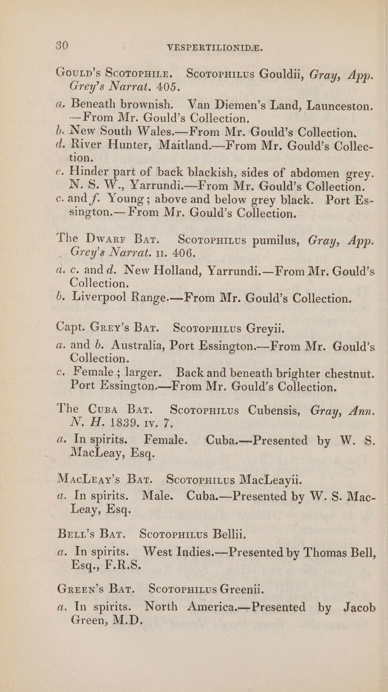 Gouxn’s Scotoruinz. Scorornitus Gouldii, Gray, App. Grey’s Narrat. 405. a. Beneath brownish. Van Diemen’s Land, Launceston. _ —From Mr. Gould’s Collection. b. New South Wales.—From Mr. Gould’s Collection. d. River Hunter, Maitland.—From Mr. Gould’s Collec- tion. e. Hinder part of back blackish, sides of abdomen grey. N.S. W., Yarrundi.—From Mr. Gould’s Collection. e.and f. Young; above and below grey black. Port Es- sington.— From Mr. Gould’s Collection. The Dwarr Bat. Scorornizus pumilus, Gray, App. . Grey's Narrat. u. 406. a. c. andd. New Holland, Yarrundi.—From Mr. Gould’s Collection. 6. Liverpool Range.—From Mr. Gould’s Collection. | Capt. Grey’s Bar. Scoropuinus Greyii. a. and 6. Australia, Port Essington.—From Mr. Gould’s Collection. c. Female; larger. Back and beneath brighter chestnut. Port Essington—From Mr. Gould’s Collection. The Cuza Bar. Scoropuitus Cubensis, Gray, Ann. Ve dhe AB BO. a7: a» In spirits. Female. Cuba.—Presented by W. S. MacLeay, Esq. MacLray’s Bat. Scoropuitus MacLeayii. a. In spirits. Male. Cuba.—Presented by W. S. Mac- Leay, Esq. Bexi’s Bar. Scotoruizus Bellii. a. In spirits. West Indies.—Presented by Thomas Bell, Esq., F.R.S. | Green's Bat. Scoropuitus Greenii. a. In spirits. North America.—Presented by Jacob Green, M.D.