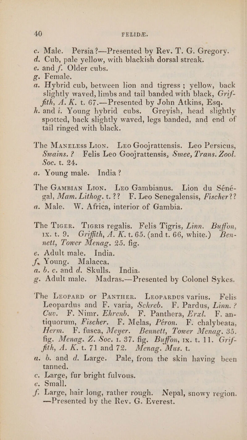c. Male. Persia?—-Presented by Rev. T. G. Gregory. d. Cub, pale yellow, with blackish dorsal streak. e. and f. Older cubs. g. Female. a. Hybrid cub, between lion and tigress; yellow, back slightly waved, limbs and tail banded with black, Grif- fith, A. K. t. 67.—Presented by John Atkins, Esq. h. andi. Young hybrid cubs. Greyish, head slightly spotted, back slightly waved, legs banded, and end of tail ringed with black. The Manezzss Lion. Leto Goojrattensis. Leo Persicus, Swains.? Felis Leo Goojrattensis, Smee, Trans. Zool. Soc. t. 24. a. Young male. India? The Gamsian Lion. Lro Gambianus. Lion du Séné- gal, Mam. Lithog.t.?? F. Leo Senegalensis, Fischer? ? a. Male. W. Africa, interior of Gambia. The Ticer. Tieris regalis. Felis Tigris, Zinn. Buffon, ix. t. 9. Griffith, A. K.t.65. (and t. 66, white.) Ben- nett, Tower Menag. 25. fig. e. Adult male. India. J. Young. Malacca. a. b.c. and d. Skulls. India. g. Adult male. Madras.—Presented by Colonel Sykes. The Leoparp or Pantuer. Leoparpvus varius. Felis Leopardus and F. varia, Schreb. F. Pardus, Linn. ? Cuv. FE. Nimr. Ehrenb. F. Panthera, Eral. F. an- tiquorum, Pischer. F. Melas, Péron. F. chalybeata, Herm. F. fusca, Meyer. Bennett, Tower Menag. 35. fig. Menag. Z. Soc. 1. 37. fig. Buffon, 1x. t. 11. Grif- fith, A. K.t. 71 and 72. Menag. Mus. t. a. b. and d. Large. Pale, from the skin having been tanned. c. Large, fur bright fulvous. e. Small. J. Large, hair long, rather rough. Nepal, snowy region. Presented by the Rev. G. Everest.