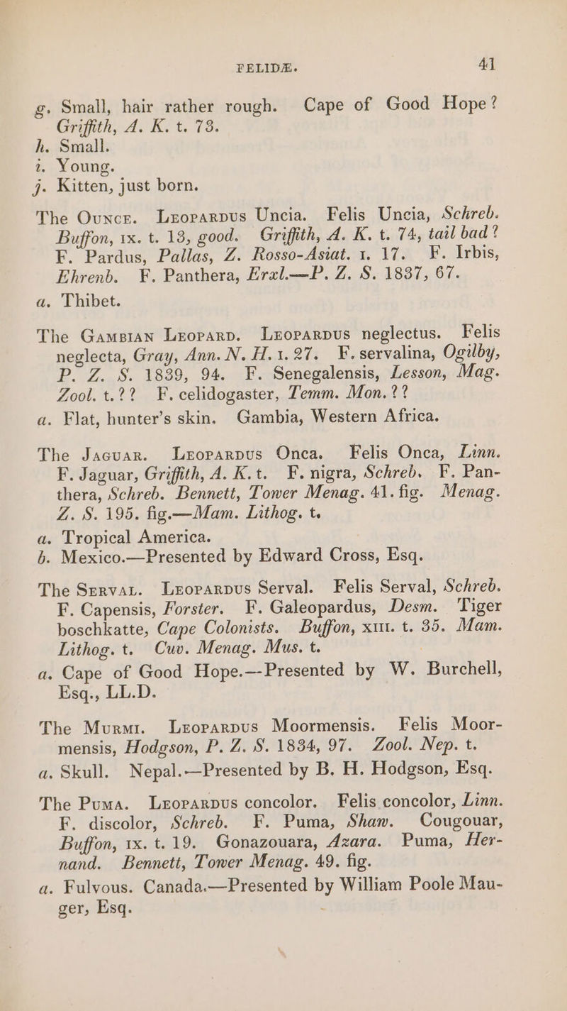 g. Small, hair rather rough. Cape of Good Hope? Griffith, J. K. t. 73. h. Small. 2 Young. j. Kitten, just born. The Ounce. Leoparpus Uncia. Felis Uncia, Schreb. Buffon, 1x. t. 13, good. Griffith, A. K. t. 74, tail bad ? F. Pardus, Pallas, Z. Rosso-Asiat. 1.17. F. Irbis, Ehrenb. ¥. Panthera, Eral.—P. Z. S. 1837, 67. a. Thibet. The Gamsian Leopard. Leroparpus neglectus. Felis neglecta, Gray, Ann. N. H.1.27. _F. servalina, Ogilby, P. Z. S. 1839, 94. F. Senegalensis, Lesson, Mag. Zool. t.2? F. celidogaster, Temm. Mon. ?? a. Flat, hunter’s skin, Gambia, Western Africa. The Jacuar. Leroparpus Onca. Felis Onca, Linn. F. Jaguar, Griffith, A. K.t. F. nigra, Schreb. F. Pan- thera, Schreb. Bennett, Tower Menag. 41. fig. Menag. Z. S. 195. fig —Mam. Lnthog. t. a. Tropical America. b. Mexico.—Presented by Edward Cross, Esq. The ServaL. LeEoparpus Serval. Felis Serval, Schreb. F. Capensis, Forster. F. Galeopardus, Desm. Tiger boschkatte, Cape Colonists. Buffon, xut. t. 35. Mam. Lithog. t. Cuv. Menag. Mus. t. a. Cape of Good Hope.—-Presented by W. Burchell, Esq., LL.D. The Murai. Leoparpus Moormensis. Felis Moor- mensis, Hodgson, P. Z. S. 1834, 97. Zool. Nep. t. a. Skull. Nepal.—Presented by B, H. Hodgson, Esq. The Puma. Leoparpus concolor. Felis concolor, Linn. F. discolor, Schreb. F. Puma, Shaw. Cougouar, Buffon, 1x. t. 19. Gonazouara, Azara. Puma, Her- nand. Bennett, Tower Menag. 49. fig. a. Fulvous. Canada.—Presented by William Poole Mau- ger, Esq.