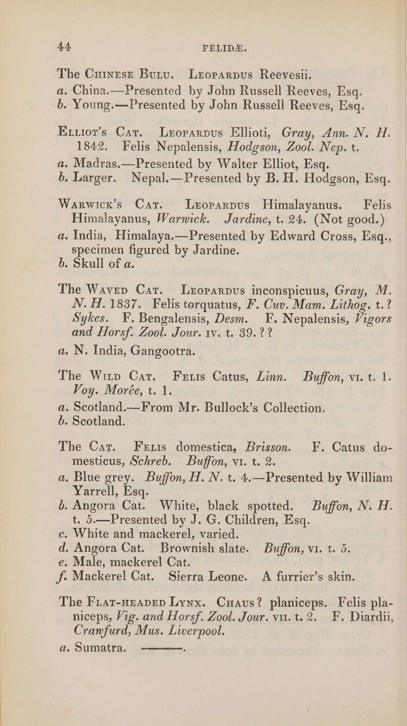 The Curtnest Butv. Lerorarpus Reevesii. a. China.—Presented by John Russell Reeves, Esq. 6. Young.—Presented by John Russell Reeves, Esq. Exzior’s Car. Lroparpus Ellioti, Gray, Ann. N. H. 1842. Felis Nepalensis, Hodgson, Zool. Nep. t. a. Madras.—Presented by Walter Elliot, Esq. 6, Larger. Nepal.—Presented by B. H. Hodgson, Esq. Warwicx’s Car. Lroparpus Himalayanus. Felis Himalayanus, Warnick. Jardine, t. 24. (Not good.) a. India, Himalaya.—Presented by Edward Cross, Esq., specimen figured by Jardine. 6. Skull of a. The Wavep Cat. Lezoparpvs inconspicuus, Gray, M. N. H. 1837. Felis torquatus, F. Cuv. Mam. Lithog. t.? Sykes. F. Bengalensis, Desm. F. Nepalensis, Vigors and Florsf. Zool. Jour. iv. t. 39.22 a. N. India, Gangootra. | The Witp Cat. Ferxis Catus, Linn. Buffon, vi. t. 1. Voy. Morée, t. 1. 3 a. Scotland.—From Mr. Bullock’s Collection. 6. Scotland. The Car. Fexis domestica, Brisson. F. Catus do- mesticus, Schreb. Buffon, vi. t. 2. a. Blue grey. Buffon, H. N. t. 4.—Presented by William Yarrell, Esq. b. Angora Cat. White, black spotted. Buffon, N. H. t. 5.—Presented by J. G. Children, Esq. c. White and mackerel, varied. d. Angora Cat. Brownish slate. Buffon, vi. t. 5. e. Male, mackerel Cat. jf- Mackerel Cat. Sierra Leone. A furrier’s skin. The Frat-nrapEep Lynx. Cuavs? planiceps. Felis pla- niceps, Vig. and Horsf. Zool. Jour. vu.t.2. F. Diardii, Cranfurd, Mus. Liverpool. a. Sumatra.