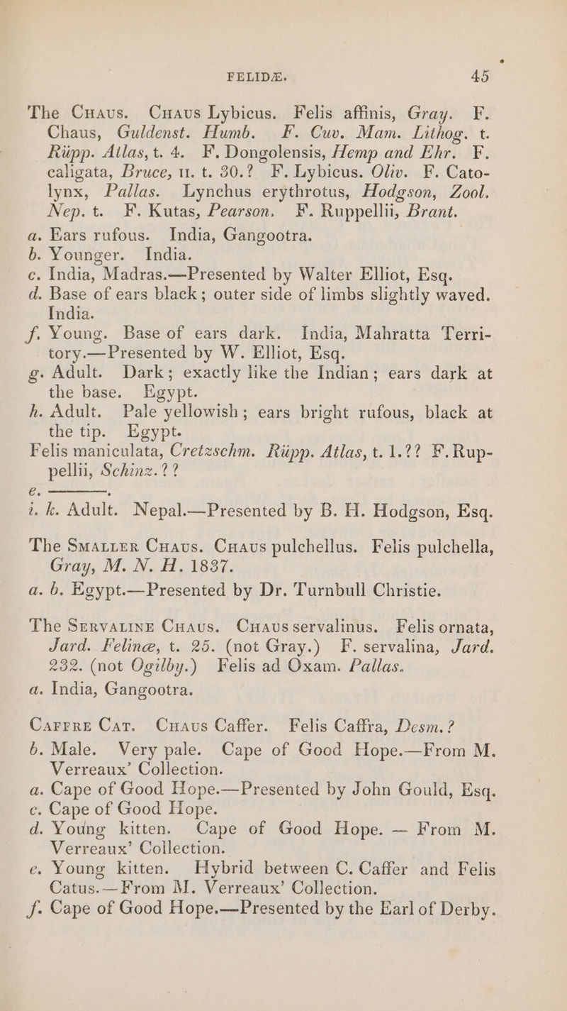 The Cuavus. Cuavus Lybicus. Felis affinis, Gray. F. Chaus, Guldenst. Humb. F. Cuv. Mam. Lithog. t. Riipp. Ailas,t. 4. F. Dongolensis, Hemp and Ehr. F. caligata, Bruce, u. t. 30.2? F. Lybicus. Oliv. F. Cato- lynx, Pallas. Lynchus erythrotus, Hodgson, Zool. Nep.t. F. Kutas, Pearson. F. Ruppellii, Brant. a. Ears rufous. India, Gangootra. b. Younger. India. c. India, Madras.—Presented by Walter Elliot, Esq. d. Base of ears black; outer side of limbs slightly waved. India. f. Young. Base of ears dark. India, Mahratta Terri- tory.—Presented by W. Elliot, Esq. g. Adult. Dark; exactly like the Indian; ears dark at the base. Egypt. h. Adult. Pale yellowish; ears bright rufous, black at the tip. Egypt. Felis maniculata, Cretzschm. Riipp. Atlas, t.1.2? F.Rup- pellii, Schinz. ? ? é. ° 2. k. Adult. Nepal.—Presented by B. H. Hodgson, Esq. The Smarter Cuavs. Cuavs pulchellus. Felis pulchella, Gray, M. N. H. 1837. a. b, Egypt.—Presented by Dr. Turnbull Christie. The ServatineE Cuaus. Cuausservalinus. Felis ornata, Jard. Feline, t. 25. (not Gray.) F. servalina, Jard. 232. (not Ogilby.) Felis ad Oxam. Pallas. a. India, Gangootra. Carrre Cat. Cuaus Caffer. Felis Caffra, Desm. ? 6. Male. Very pale. Cape of Good Hope.—From M. Verreaux’ Collection. a. Cape of Good Hope.—Presented by John Gould, Esq. c. Cape of Good Hope. d. Young kitten. Cape of Good Hope. — From M. Verreaux’ Collection. e. Young kitten. Hybrid between C. Caffer and Felis Catus.—From M. Verreaux’ Collection. J. Cape of Good Hope.—Presented by the Earl of Derby.