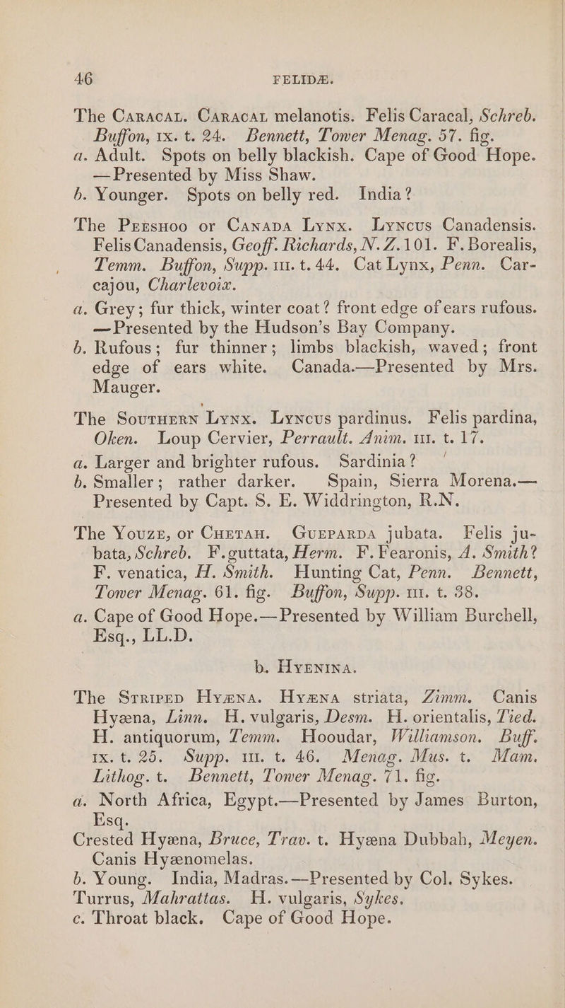 The Caracat. Caracat melanotis. Felis Caracal, Schreb. Buffon, 1x. t. 24. Bennett, Tower Menag. 57. fig. a. Adult. Spots on belly blackish. Cape of Good Hope. — Presented by Miss Shaw. b. Younger. Spots on belly red. India? The Przrsnoo or Canapa Lynx. lLyncus Canadensis. Felis Canadensis, Geoff. Richards, N.Z.101. F. Borealis, Temm. Buffon, Supp. 1. t.44. Cat Lynx, Penn. Car- eajou, Charlevoix. a. Grey; fur thick, winter coat? front edge of ears rufous. — Presented by the Hudson’s Bay Company. 6. Rufous; fur thinner; limbs blackish, waved; front edge of ears white. Canada.—Presented by Mrs. Mauger. The Sournern Lyxx. Lynceus pardinus. Felis pardina, Oken. Loup Cervier, Perrault. Anim. 11. t. 17. a. Larger and brighter rufous. Sardinia? 6. Smaller; rather darker. Spain, Sierra Morena.— Presented by Capt. S. E. Widdrington, R.N. The Youze, or Cuzetan. GuveEparpa jubata. Felis ju- bata, Schreb. F.guttata, Herm. F.Fearonis, A. Smith? F. venatica, H. Smith. Hunting Cat, Penn. Bennett, Tower Menag. 61. fig. Buffon, Supp. m1. t. 38. a. Cape of Good Hope.—Presented by William Burchell, Esq., LL.D. b. HyEnIna. The Srrreep Hya@na. Hyena striata, Zimm. Canis Hyena, Linn. H. vulgaris, Desm. H. orientalis, Tied. H. antiquorum, Temm. Hooudar, Williamson. Buff. Ix.t. 25. Supp. ut t. 46. Menag. Mus. t. Mam. Lithog. t. Bennett, Tower Menag. 71. fig. a. North Africa, Egypt.—Presented by James Burton, Esq. Crested Hyena, Bruce, Trav. t. Hyena Dubbah, Meyen. Canis Hyznomelas. b. Young. India, Madras.—Presented by Col. Sykes. Turrus, Mahrattas. H. vulgaris, Sykes. c. Throat black. Cape of Good Hope.