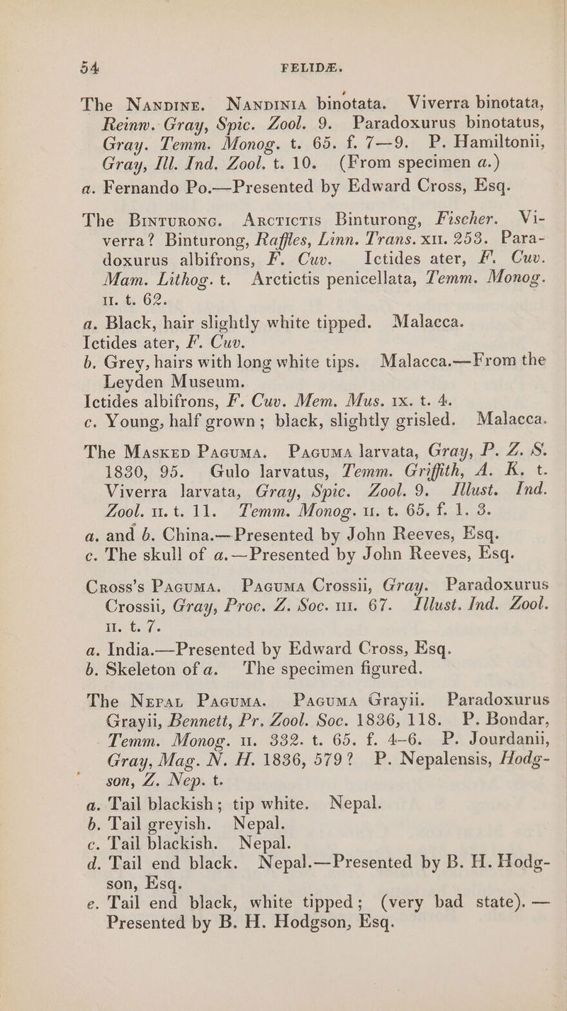 The Nanpinr. Nawnpinia binotata. Viverra binotata, Reinw. Gray, Spic. Zool. 9. Paradoxurus binotatus, Gray. Temm. Monog. t. 65. f. 7—9. P. Hamiltomii, Gray, Ill. Ind. Zool. t. 10. (From specimen a.) a. Fernando Po.—Presented by Edward Cross, Esq. The Bryruronc. Arcrictis Binturong, Fischer. Vi- verra? Binturong, Raffles, Linn. Trans. xu. 253. Para- doxurus albifrons, F. Cuv. Ictides ater, #. Cuv. Mam. Lithog. t. Arctictis penicellata, Temm. Monog. i. te 62. a. Black, hair slightly white tipped. Malacca. Ictides ater, F. Cuv. b. Grey, hairs with long white tips. Malacca.—From the Leyden Museum. Ictides albifrons, F. Cuv. Mem. Mus, 1x. t. 4. c. Young, half grown; black, slightly grisled. Malacca. The Maskep Pacuma. Pacuma larvata, Gray, P. Z. 8. 1830, 95. Gulo larvatus, Temm. Griffith, A. K. t. Viverra larvata, Gray, Spic. Zool. 9. Illust. Ind. Zool. u.t. 11. Temm. Monog. u. t. 65, f. 1. 3. a. and 6. China.— Presented by John Reeves, Esq. c. The skull of a.—Presented by John Reeves, Esq. Cross’s Pacuma. Pacuma Crossii, Gray. Paradoxurus Crossii, Gray, Proc. Z. Soc. 11. 67. Lllust. Ind. Zool. Ai test. a. India.—Presented by Edward Cross, Esq. b. Skeleton ofa. The specimen figured. The Neran Pacuma. Pacuma Grayii. Paradoxurus Grayii, Bennett, Pr. Zool. Soc. 1836, 118. P. Bondar, Temm. Monog. u. 332. t. 65. f. 4-6. P. Jourdann, — Gray, Mag. N. H. 1836, 579? BP. Nepalensis, Fodg- son, Z. Nep. t. . Tail blackish; tip white. Nepal. . Tail greyish. Nepal. . Tail blackish. Nepal. . Tail end black. Nepal.—Presented by B. H. Hodg- son, Esq. e. Tail end black, white tipped; (very bad state). — Presented by B. H. Hodgson, Esq. Qa owe