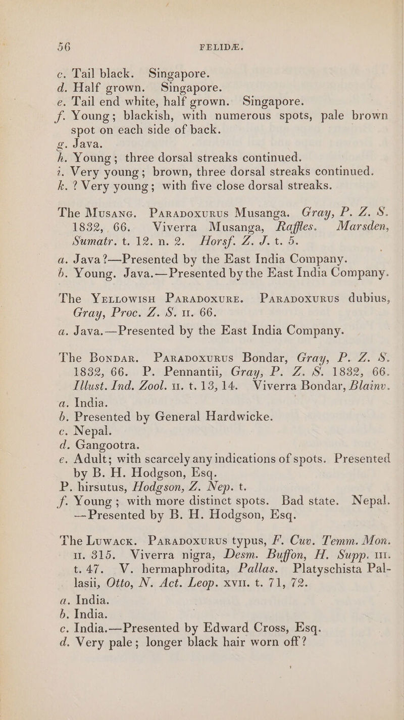 c. Tail black. Singapore. d. Half grown. Singapore. e. Tail end white, half grown. Singapore. f. Young; blackish, with numerous spots, pale brown spot on each side of back. g. Java. h. Young; three dorsal streaks continued. 2. Very young; brown, three dorsal streaks continued. k.? Very young; with five close dorsal streaks. The Musanc. Parapoxurus Musanga. Gray, P. Z. S. 1832, 66. Viverra Musanga, Raffles. Marsden, Oumaire t.1%.m. 2. Diese, 7 J itso. a. Java?—Presented by the East India Company. 6. Young. Java.— Presented by the East India Company. The YrettowisH Parapoxure. Parapoxurus dubius, Gray, Proc. Z. S. 1. 66. a. Java.—Presented by the East India Company. The Bonnar. Parapoxurus Bondar, Gray, P. Z. 8. £832,66. . P.» Pennantii, Gray; P. Z. iS: 1882, 66: Illust. Ind. Zool. 1. t.13,14. Viverra Bondar, Blainv. a. India. b. Presented by General Hardwicke. c. Nepal. d. Gangootra. e, Adult; with scarcely any indications of spots. Presented by B. H. Hodgson, Esq. P. hirsutus, Hodgson, Z. Nep. t. f. Young; with more distinct spots. Bad state. Nepal. —-Presented by B. H. Hodgson, Esq. The Luwacx. Parapoxurus typus, f’. Cuv. Temm. Mon. u. 315. WViverra nigra, Desm. Buffon, H. Supp. i. t.47. V. hermaphrodita, Pallas. Platyschista Pal- lasii, Gito, NV. Act. Leop. xvu. t. 71,)72. a. India. b. India. c. India.—Presented by Edward Cross, Esq. d. Very pale; longer black hair worn off?