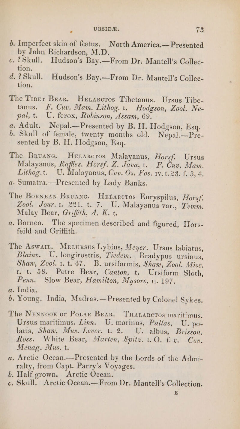 : URSIDA. 13 6. Imperfect skin of foetus. North America.— Presented by John Richardson, M.D. ce. ?Skull. Hudson’s Bay.x—From Dr. Mantell’s Collec- tion. d. ? Skull. Hudson’s Bay.—From Dr. Mantell’s Collec- tion. The Tisrr Bear. Hetarctos Tibetanus. Ursus Tibe- tanus. Ff, Cuv. Mam. Lithog. t. Hodgson, Zool. Ne- pal, t. U. ferox, Robinson, Assam, 69. a. Adult. Nepal.—Presented by B. H. Hodgson, Esq. 6. Skull of female, twenty months old. Nepal.—Pre- sented by B. H. Hodgson, Esq. The Bruane. Hetarcros Malayanus, Horsf. Ursus Malayanus, Raffles. Horsf. Z. Java, t. F. Cuv. Mam. Lithog.t. U. Malayanus, Cuv. Os. Fos. 1v.t.23. f. 3, 4. a. Sumatra.—Presented by Lady Banks. The Bornean Bruane. Hetarcros Euryspilus, Forsf. Zool. Jour.1. 221. t. 7. U. Malayanus var., Temm. Malay Bear, Griffith, A. K. t. a. Borneo. The specimen described and figured, Hors- feild and Griffith. The Aswaitr. Mrxrursus Lybius, Meyer. Ursus labiatus, Blainv. U. longirostris, Tiedem. Bradypus ursinus, Shan, Zool. 1.t. 47. B. ursiformis, Shaw, Zool. Mise. I. t. 58. Petre Bear, Canton, t. Ursiform Sloth, Penn. Slow Bear, Hamilton, Mysore, 11. 197. a. India. 6. Young. India, Madras.—Presented by Colonel Sykes. The Nennoox or Potar Bear. Tuararcros maritimus. Ursus maritimus. Zinn. U. marinus, Pallas. U. po- laris, Shaw, Mus. Lever. t. 2. U. albus, Brisson. Ross. White Bear, Marten, Spitz. t.O. fc. Cuv. Menag. Mus. t. a. Arctic Ocean.—Presented by the Lords of the Admi- ralty, from Capt. Parry’s Voyages. b. Half grown. Arctic Ocean. c. Skull. Arctic Ocean.—From Dr. Mantell’s Collection. E