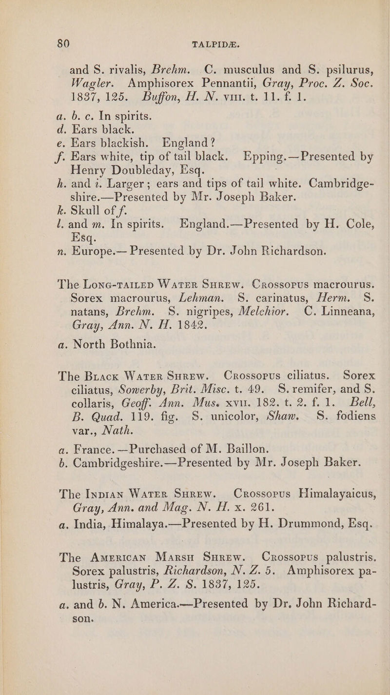 and S. rivalis, Brehm. C. musculus and S. psilurus, Wagler. Amphisorex Pennantii, Gray, Proc. Z. Soc. 1837, 125. Buffon, H. N. vin. t. 11. f. 1. a. 6. c. In spirits. d. Kars black. e. Ears blackish. England? f. Ears white, tip of tail black. Epping.—Presented by Henry Doubleday, Esq. | h. and «. Larger; ears and tips of tail white. Cambridge- shire.—Presented by Mr. Joseph Baker. k. Skull of f. !. and m. In spirits. England.—Presented by H. Cole, Esq. n. Baraat Presented by Dr. John Richardson. The Lone-TaiLep Water SHREW. Crossorus macrourus. Sorex macrourus, Lehman. S. carinatus, Herm. S. natans, Brehm. S. nigripes, Melchior. C. Linneana, Gray, Ann. N. H. 1842. a. North Bothnia. The Brack Water Surew. Crossopus ciliatus. Sorex ciliatus, Sowerby, Brit. Misc. t. 49. S.remifer, and S. collaris, Geoff. Ann. Mus. xvu. 182. t. 2. f. 1. Bell, B. Quad. 119. fig. S. unicolor, Shaw. S. fodiens var., Nath. a. France. —Purchased of M. Baillon. 6. Cambridgeshire.—Presented by Mr. Joseph Baker. The Inpian WatER SHREW. Crossopus Himalayaicus, Gray, Ann. and Mag. N. H. x. 261. a. India, Himalaya.—Presented by H. Drummond, Esq. The American Marsu Surew. Crossopus palustris. Sorex palustris, Richardson, N.Z.5. Amphisorex pa- lustris, Gray, P. Z. S. 1837, 125. a. and 6. N. America.—Presented by Dr. John Richard- son.