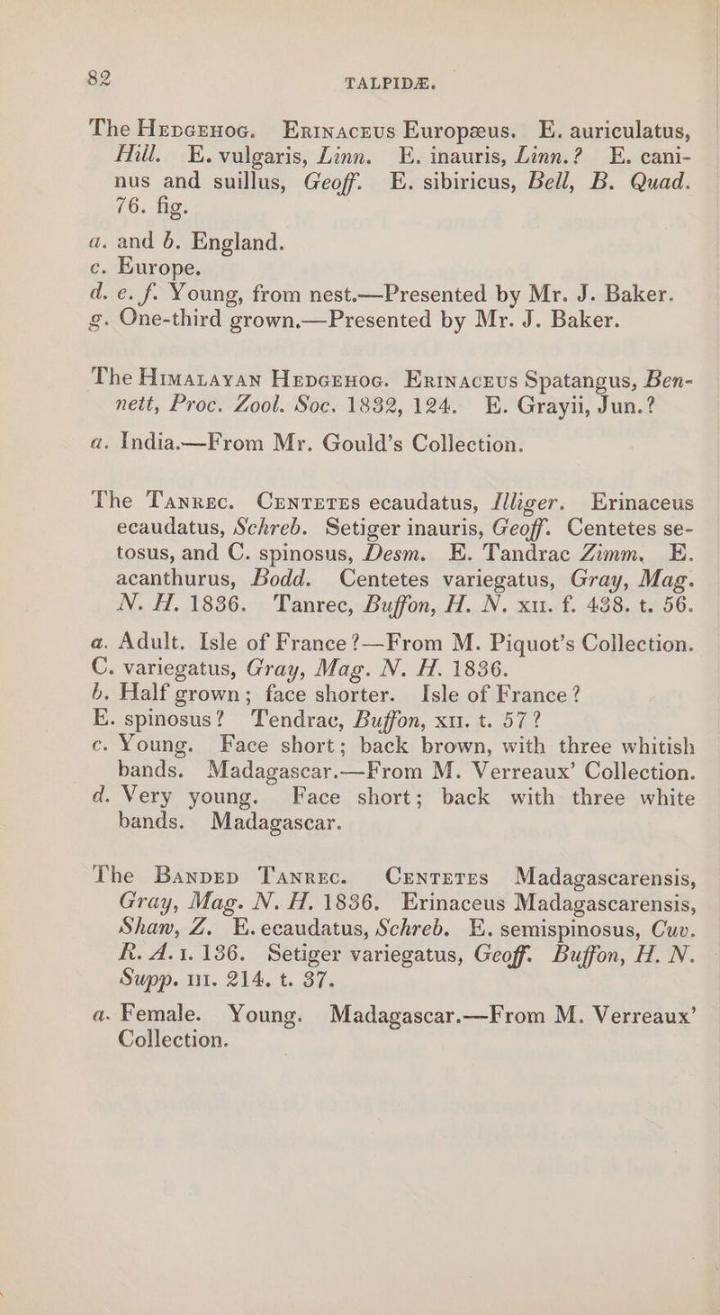 The Hepnernoc. Erinaceus Europeus. E. auriculatus, Mil. KE. vulgaris, Zinn. E. inauris, Linn.? E. cani- nus and suillus, Geoff. E. sibiricus, Bell, B. Quad. 16; fig. z. and 6. England. c. Europe. d. e. f. Young, from nest.—Presented by Mr. J. Baker. g. One-third grown.—Presented by Mr. J. Baker. a The Himatayan Hepeenoc. Erinacevs Spatangus, Ben- nett, Proc. Zool. Soc. 1832, 124. E. Grayii, Jun.? a. India.—From Mr. Gould’s Collection. The Tanrec. Cxrnreres ecaudatus, Illiger. Erinaceus ecaudatus, Schreb. Setiger inauris, Geoff. Centetes se- tosus, and C. spinosus, Desm. E. Tandrac Zimm. E. acanthurus, Bodd. Centetes variegatus, Gray, Mag. N. H, 1836. Tanrec, Buffon, H. N. xu. f. 438. t. 56. a. Adult. Isle of France ?—-From M. Piquot’s Collection. C. variegatus, Gray, Mag. N. H. 1836. b. Half grown; face shorter. Isle of France ? E. spinosus? Tendrac, Buffon, xu. t. 57? ce. Young. Face short; back brown, with three whitish bands. Madagascar.—From M. Verreaux’ Collection. d. Very young. Face short; back with three white bands. Madagascar. The Banpzp Tanrec. CeEnreres Madagascarensis, Gray, Mag. N. H. 1836. Erinaceus Madagascarensis, Shan, Z. EK. ecaudatus, Schreb. E. semispinosus, Cuv. h. A.1.186. Setiger variegatus, Geoff. Buffon, H. N. — Supp. ut. 214, t. 37. a. Female. Young. Madagascar.—From M. Verreaux’ Collection.