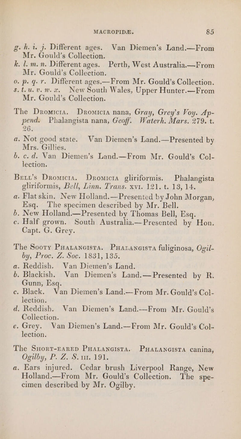 g.h.1. j. Different ages. Van Diemen’s Land.—From Mr. Gould’s Collection. k. l. m.n. Different ages. Perth, West Australia.—From Mr. Gould’s Collection. o. p. gq. 7. Different ages.—From Mr. Gould’s Collection. S.t.u.v. 2.2. New South Wales, Upper Hunter.—From Mr. Gould’s Collection. The Dromicta. Dromicra nana, Gray, Grey’s Voy. Ap- pend. Phalangista nana, Geoff. Waterh. Mars. 279. t. 26: a. Not good state. Van Diemen’s Land.—Presented by Mrs. Gillies. 6. c.d. Van Diemen’s Land.—From Mr. Gould’s Col- lection. Bext’s Dromicia. Dromicta gliriformis. Phalangista gliriformis, Bell, Linn. Trans. xvi. 121. t. 13, 14. a. Flat skin. New Holland.—Presented by John Morgan, Esq. The specimen described by Mr. Bell. 6. New Holland.—Presented by Thomas Bell, Esq. c. Half grown. South Australia.—Presented by Hon. Capt. G. Grey. The Soory Puaraneista. Puaranetsta fuliginosa, Ogil- by, Proc: Z. Soe. 1831, 135; a. Reddish. Van Diemen’s Land. 6. Blackish. Van Diemen’s Land.—Presented by R. Gunn, Esq. | ce. Black. Van Diemen’s Land.—From Mr. Gould’s Col- lection. d. Reddish. Van Diemen’s Land.—From Mr. Gould’s Collection. e. Grey. Van Diemen’s Land.—From Mr. Gould’s Col- lection. The Suort-EArED Puaraneista. PHALANGISTA canina, Ogilby, PZ. od. i, 191. a. Ears injured. Cedar brush Liverpool Range, New Holland.—From Mr. Gould’s Collection. The spe- cimen described by Mr. Ogilby.