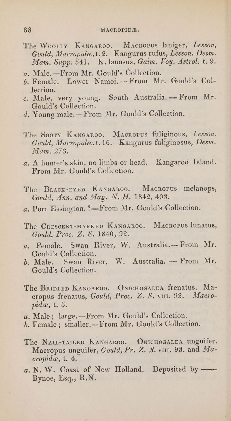 The Wootty Kancaroo. Macroprvus laniger, Lesson, Gould, Macropide,t.2. Kangurus rufus, Lesson. Desm. Mam. Supp. 541. K. lanosus, Gam. Voy. Astrol. t. 9. a. Male.—From Mr. Gould’s Collection. b. Female. Lower Namoi.-—-From Mr. Gould’s Col- lection. c. Male, very young. South Australia.—From Mr. Gould’s Collection. _d. Young male.—From Mr. Gould’s Collection. The Soory Kancaroo. Macropus fuliginous, Lesson. Gould, Macropide,t.16. Kangurus fuliginosus, Desm. Mam. 273. a. A hunter’s skin, no limbs or head. Kangaroo Island. From Mr. Gould’s Collection. The Bracx-ryep Kancaroo. Macroprus melanops, Gould, Ann. and Mag. N. H. 1842, 408. a. Port Essington. ?—From Mr. Gould’s Collection. The CrEescENT-MARKED Kancoaroo. Macropus lunatus, Gould, Proc. Z. S. 1840, 92. a. Female. Swan River, W. Australia.—From Mr. Gould’s Collection. b. Male. Swan River, W. Australia. — From Mr. Gould’s Collection. The Briptep Kanearoo. OnicHoGALEA frenatus. Ma- cropus frenatus, Gould, Proc. Z. S. vu. 92. Macro- pide, t. 3. a. Male; large.—From Mr. Gould’s Collection. b. Female ; smaller.—From Mr. Gould’s Collection. The Nair-Tartep Kancaroo. OntcHoGaLea unguifer. Macropus unguifer, Gould, Pr. Z. S. vit. 93. and Ma- cropide, t. 4. a. N. W. Coast of New Holland. vga by —— Bynoe, Esq., R.N.