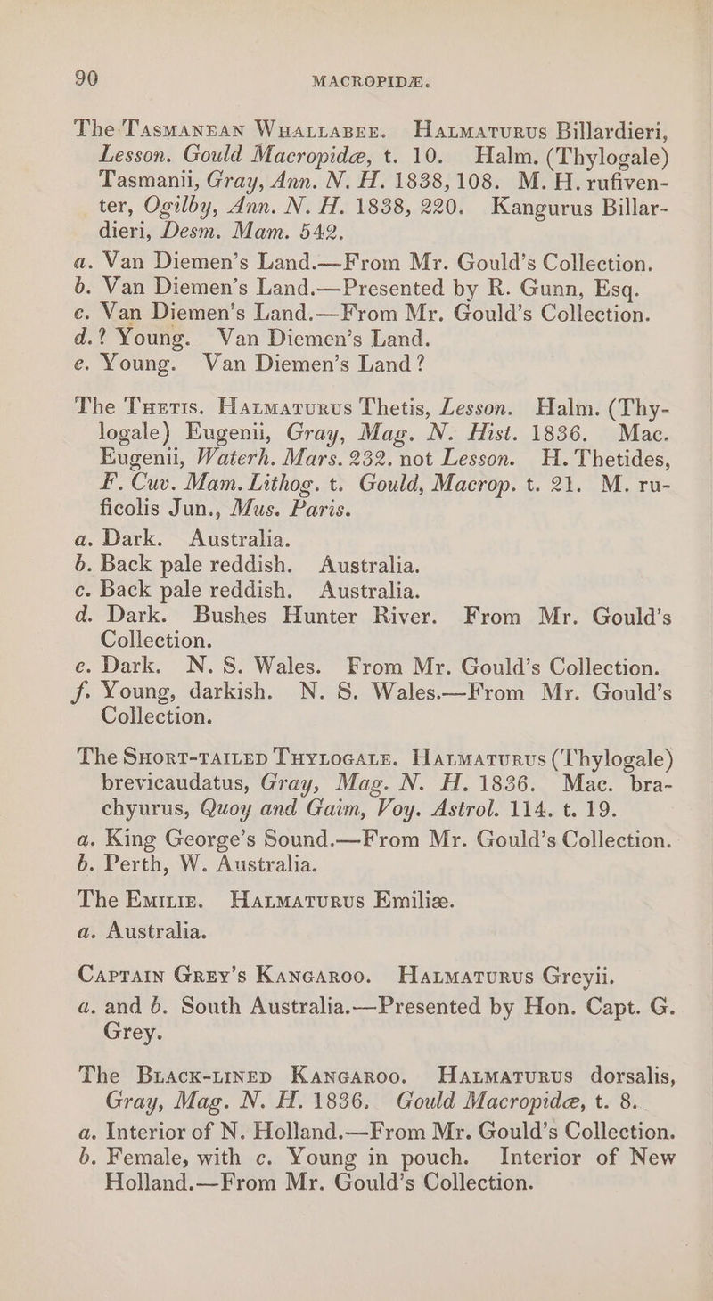 The: Tasmanean Wuartases. Haxmarurvs Billardieri, Lesson. Gould Macropide, t. 10. Halm. (Thylogale) Tasman, Gray, Ann. N. H. 1838,108. M. H. rufiven- ter, Ogilby, Ann. N. H. 1838, 220. Kangurus Billar- dieri, Desm. Mam. 542. a. Van Diemen’s Land.—From Mr. Gould’s Collection. 6. Van Diemen’s Land.—Presented by R. Gunn, Esq. c. Van Diemen’s Land.—From Mr. Gould’s Collection. d.? Young. Van Diemen’s Land. e. Young. Van Diemen’s Land? The Tuetis. Hatmaturus Thetis, Lesson. Halm. (Thy- logale) Eugenii, Gray, Mag. N. Hist. 1836. Mac. Eugenii, Waterh. Mars. 232. not Lesson. H. Thetides, fF, Cuv. Mam. Lithog. t. Gould, Macrop. t. 21. M. ru- ficolis Jun., Mus. Paris. a. Dark. Australia. b. Back pale reddish. Australia. c. Back pale reddish. Australia. d. Dark. Bushes Hunter River. From Mr. Gould’s Collection. e. Dark. N.S. Wales. From Mr. Gould’s Collection. jf. Young, darkish. N.S. Wales.—From Mr. Gould’s Collection. The Suort-raitep TuytocaLe. Hatmaturvs (Thylogale) brevicaudatus, Gray, Mag. N. H. 1836. Mac. bra- chyurus, Quoy and Gaim, Voy. Astrol. 114. t. 19. a. King George’s Sound.—From Mr. Gould’s Collection. 6. Perth, W. Australia. The Emitre. Haztmaturvus Emilie. a. Australia. Caprain Grey’s Kancaroo. Harmaturus Greyii. a. and 6. South Australia.—Presented by Hon. Capt. G. Grey. The Bracx-trinED Kancaroo. Hatmaturvus dorsalis, Gray, Mag. N. H. 1836. Gould Macropide, t. 8. a. Interior of N. Holland.—From Mr. Gould’s Collection. b. Female, with c. Young in pouch. Interior of New