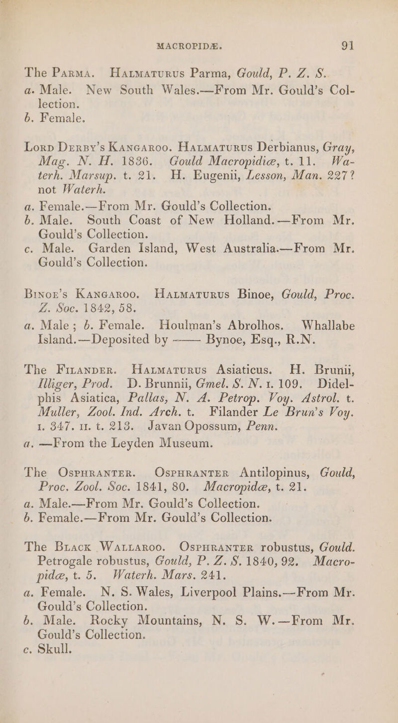 The Parma. Hatmaturus Parma, Gould, P. Z. S. a. Male. New South Wales.—From Mr. Gould’s Col- lection. 6. Female. Lorp Dersy’s Kancaroo. Hatmaturus Derbianus, Gray, Mag. N. H. 1836. Gould Macropidia, t.11. Wa- terh. Marsup. t. 21. H. Eugeni, Lesson, Man. 227? not Waterh. a. Female.—From Mr. Gould’s Collection. | b. Male. South Coast of New Holland. —From Mr. Gould’s Collection. c. Male. Garden Island, West Australia.a—From Mr. Gould’s Collection. Brnorn’s Kangaroo. Hatmaturus Binoe, Gould, Proc. Z. Soc. 1842, 58. a. Male; 6. Female. Houlman’s Abrolhos. Whallabe Island.—Deposited by Bynoe, Esq., R.N. The Firanprer. Hatmaturus Asiaticus. H. Brunii, Iliger, Prod. D. Brunnii, Gmel. S. N.1.109. Didel- phis Asiatica, Pallas, N. A. Petrop. Voy. Astrol. t. Muller, Zool. Ind. Arch. t. Filander Le Brun’s Voy. 1. 347. 1. t. 213. Javan Opossum, Penn. a, —From the Leyden Museum. The OspuranTER. OsSPHRANTER Antilopinus, Gould, Proc, Zool. Soc. 1841, 80. Macropide, t. 21. a. Male-—From Mr. Gould’s Collection. The Brack Wattaroo. OsrHRanterR robustus, Gould. Petrogale robustus, Gould, P. Z. S.1840,92. Macro- pide, t. 5. Waterh. Mars. 241. a. Female. N.S. Wales, Liverpool Plains.—From Mr. Gould’s Collection. b. Male. Rocky Mountains, N. S. W.—From Mr. Gould’s Collection.