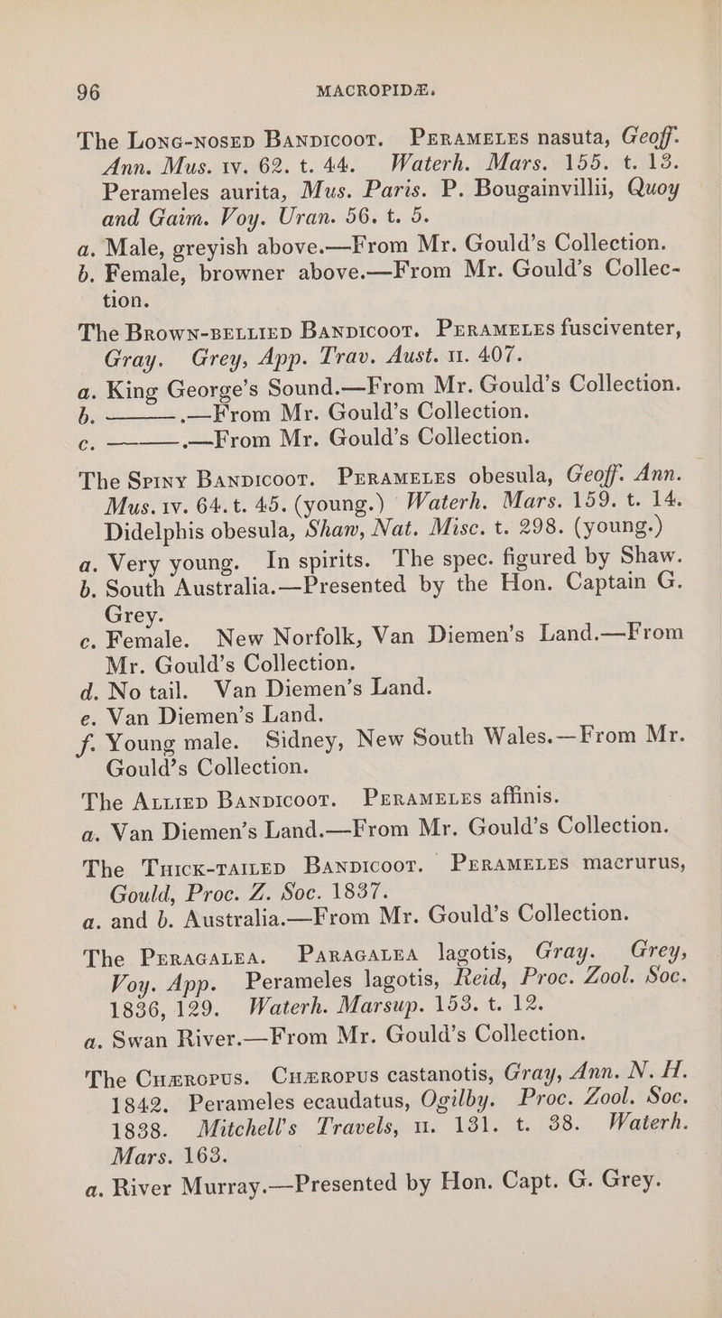 The Lonc-Nosep Banpicoot. PErRAMELEs nasuta, Geoff. Ann. Mus. tv. 62. t. 44. Waterh. Mars. 155. t. 13. Perameles aurita, Mus. Paris. P. Bougainvillii, Quoy and Gaim. Voy. Uran. 56. t. 5. a. Male, greyish above-—From Mr. Gould’s Collection. b. Female, browner above.—From Mr. Gould’s Collec- tion. The Brown-BELLIED Banpicoot. PErsmELes fusciventer, Gray. Grey, App. Trav. Aust. 11. 407. a. King George’s Sound.—From Mr. Gould’s Collection. b. .—From Mr. Gould’s Collection. c, —-——.—From Mr. Gould’s Collection. The Spiny Banpicoot. Prrametzs obesula, Geoff. Ann. Mus. 1v. 64.t. 45. (young.) Waterh. Mars. 159. t. 14. Didelphis obesula, Shan, Nat. Misc. t. 298. (young.) a. Very young. In spirits. The spec. figured by Shaw. b. South Australia. —Presented by the Hon. Captain G. Grey. Cc. Fenale. New Norfolk, Van Diemen’s Land.—From Mr. Gould’s Collection. d. No tail. Van Diemen’s Land. e. Van Diemen’s Land. f. Young male. Sidney, New South Wales.—From Mr. Gould’s Collection. The Attiep Banpicoot. PERAMELES affinis. a. Van Diemen’s Land.—From Mr. Gould’s Collection. The Tuick-TaAILEp Banpicoot. PERAMELES macrurus, Gould, Proc. Z. Soc. 1837. a. and b. Australia.—From Mr. Gould’s Collection. The Peracatea. Paracatea lagotis, Gray. Grey, Voy. App. Perameles lagotis, Reid, Proc. Zool. Soc. 1836, 129. Waterh. Marsup. 153. t. 12. a. Swan River.—From Mr. Gould’s Collection. The Cumrorus. Curopus castanotis, Gray, Ann. N. HH. 1842. Perameles ecaudatus, Ogilby. Proc. Zool. Soc. 1838. Mitchell’s Travels, u. 131. t. 38. Waterh. Mars. 163. a. River Murray.—Presented by Hon. Capt. G. Grey.