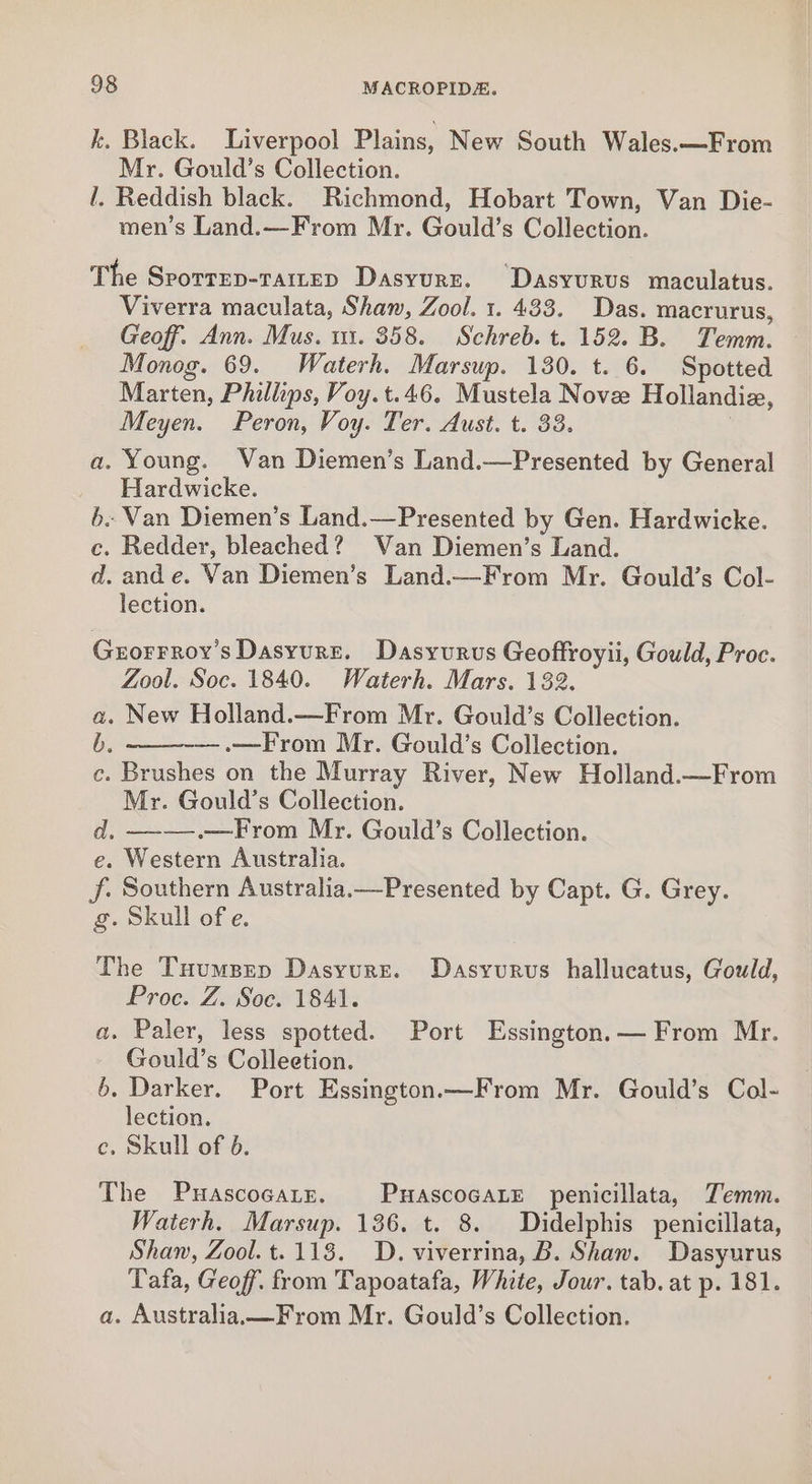 k. Black. Liverpool Plains, New South Wales.—From Mr. Gould’s Collection. l. Reddish black. Richmond, Hobart Town, Van Die- men’s Land.—From Mr. Gould’s Collection. The Srorrep-raitep Dasyure. ‘Dasyurus maculatus. Viverra maculata, Shaw, Zool. 1. 433. Das. macrurus, Geoff. Ann. Mus. 11. 358. Schreb. t. 152. B. Temm. Monog. 69. Waterh. Marsup. 130. t. 6. Spotted Marten, Phillips, Voy.t.46. Mustela Nove Hollandie, Meyen. Peron, Voy. Ter. Aust. t. 33. : a. Young. Van Diemen’s Land.—Presented by General Hardwicke. b.. Van Diemen’s Land.—Presented by Gen. Hardwicke. c. Redder, bleached? Van Diemen’s Land. d. and e. Van Diemen’s Land.—From Mr. Gould’s Col- lection. Grorrroy’s Dasyurs. Dasyurus Geoffroyii, Gould, Proc. Zool. Soc. 1840. Waterh. Mars. 132. a. New Holland.—From Mr. Gould’s Collection. —.—From Mr. Gould’s Collection. c. Brushes on the Murray River, New Holland.—From Mr. Gould’s Collection. d. —-—-.—From Mr. Gould’s Collection. e. Western Australia. f. Southern Australia.—Presented by Capt. G. Grey. g. Skull of e. The Tuumspep Dasyurr. Dasyurvus hallucatus, Gould, Proc. Z. Soc. 1841. a. Paler, less spotted. Port Essington. — From Mr. Gould’s Colleetion. 6. Darker. Port Essington.—From Mr. Gould’s Col- lection. c. Skull of 6. The Puascocare. PuascocaLE penicillata, Temm. Waterh. Marsup. 136. t. 8. Didelphis penicillata, Shan, Zool.t.118. D. viverrina, B. Shaw. Dasyurus Tafa, Geoff. from Tapoatafa, White, Jour. tab. at p. 181. a. Australia —From Mr. Gould’s Collection.