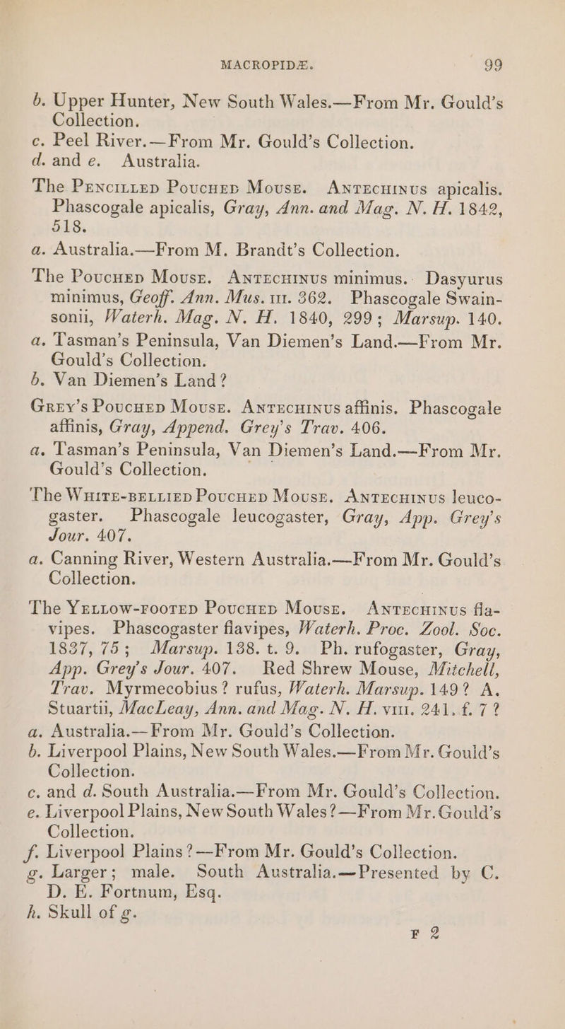 6. Upper Hunter, New South Wales.—From Mr. Gould’s Collection. c. Peel River.—From Mr. Gould’s Collection. d. and e. Australia. The Pencittep Poucuep Mouse. ANTEcHINUS apicalis. Phascogale apicalis, Gray, Ann. and Mag. N. H. 1842, 518. a. Australia.—From M. Brandt’s Collection. The Poucurep Mouse. Antecuinus minimus. Dasyurus minimus, Geoff. Ann. Mus. u1. 862. Phascogale Swain- soni, Vaterh. Mag. N. H. 1840, 299; Marsup. 140. a. Tasman’s Peninsula, Van Diemen’s Land.—From Mr. Gould’s Collection. 5. Van Diemen’s Land ? Grey’s Poucurp Mousse. Antecuinvus affinis. Phascogale affinis, Gray, Append. Grey’s Trav. 406. a. T'asman’s Peninsula, Van Diemen’s Land.—From Mr. Gould’s Collection. a The Wu1rE-BELLIED Poucuep Mouse. AnTEcuINUus leuco- gaster. Phascogale leucogaster, Gray, App. Grey’s Jour. 407. a. Canning River, Western Australia.—F rom Mr. Gould’s Collection. The YELLOw-FooTED Poucuep Mouse. ANvTEcHINUS fla- vipes. Phascogaster flavipes, Waterh. Proc. Zool. Soc. 1837, 75; Marsup. 138. t. 9. Ph. rufogaster, Gray, App. Grey’s Jour. 407. Red Shrew Mouse, Mitchell, Trav. Myrmecobius? rufus, Waterh. Marsup. 149? A. Stuartii, MacLeay, Ann. and Mag. N. H. vi. 241. £. 7? a. Australia.—From Mr. Gould’s Collection. b. Liverpool Plains, New South Wales.—From Mr. Gould’s Collection. c. and d. South Australia.—From Mr. Gould’s Collection. e. Liverpool Plains, New South Wales ?—From Mr. Gould’s Collection. f. Liverpool Plains ?—From Mr. Gould’s Collection. g. Larger; male. South Australia.—Presented by C. D. E. Fortnum, Esq. h. Skull of g. ge