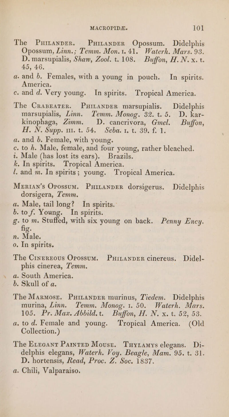 The PuitanpEr. PuitanpErR Opossum. Didelphis Opossum, Linn.; Temm. Mon.1. 41. Waterh. Mars. 93. D. marsupialis, Shaw, Zool. t.108. Buffon, H. N.x. t. 45, 46. a. and 6. Females, with a young in pouch. In spirits. America. ce. and d. Very young. In spirits. Tropical America. The Craseater. Puitanper marsupialis. Didelphis marsupialis, Linn. Temm. Monog. 32. t. 5. D. kar- kinophaga, Zimm. OD. cancrivora, Gmel. Buffon, H, N. Supp. m1. t. 54, Seba. 1. t. 39. f. 1. a. and b, Female, with young. c. to h. Male, female, and four young, rather bleached. 2. Male (has lost its ears). Brazils. k. In spirits. Tropical America. l, and m. In spirits; young. Tropical America. Merian’s Opossum. PuitanpER dorsigerus. Didelphis dorsigera, Zemm. — a. Male, tail long? In spirits. b. tof. Young. In spirits. g. to m. Stuffed, with six young on back. Penny Ency. fig. n. Male. o. In spirits. The Cinerrous Opossum. PuitanpeErR cinereus. Didel- phis cinerea, Temm. 3 a. South America. b. Skull of a. The Marmosz. PuitanpEr murinus, Tiedem. Didelphis murina, Linn. Temm. Monog. 1. 50. Waterh. Mars. 105. Pr. Max. Abbild.t. Buffon, H. N. x. t. 52, 53. a, tod. Female and young. Tropical America. (Old Collection. ) The Evecant Parystep Movust. Tuytamys elegans. Di- delphis elegans, Waterh. Voy. Beagle, Mam. 95. t. 31. D. hortensis, Read, Proc. Z. Soc. 1837. a. Chili, Valparaiso.