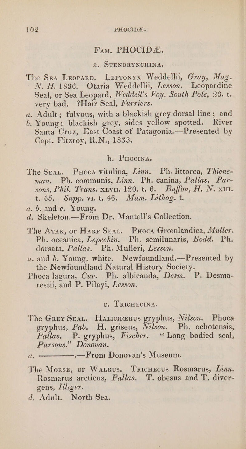 Fam. PHOCIDE. a. STENORYNCHINA. The Sea Leoparp. Lepronyx Weddellii, Gray, Mag. N. H. 1836. Otaria Weddellii, Lesson. Leopardine Seal, or Sea Leopard, Weddeil’s Voy. South Pole, 23. t. very bad. ?Hair Seal, Furriers. a. Adult; fulvous, with a blackish grey dorsal line; and b. Young; blackish grey, sides yellow spotted. River Santa Cruz, East Coast of Patagonia.—Presented by Capt. Fitzroy, R.N., 1833. b. PHocINA. The Seat. Puoca vitulina, Zinn. Ph. littorea, T'hiene- man. Ph. communis, Linn. Ph. canina, Pallas. Par- sons, Phil. Trans. xtvu. 120. t. 6. Buffon, H. N. xu. t.45. Supp. vi.t. 46. Mam. Lithog. t. a. b. and c. Young. d. Skeleton.—From Dr. Mantell’s Collection. The Atax, or Harp Seat. Puoca Groenlandica, Muller. Ph. oceanica, Lepechin. Ph. semilunaris, Bodd. Ph. dorsata, Pallas. Ph. Mulleri, Lesson. a. and b. Young, white. Newfoundland.—Presented by the Newfoundland Natural History Society. Phoca lagura, Cuv. Ph. albicauda, Desm. P. Desma- restii, and P. Pilayi, Lesson. c. TRICHECINA. The Grey Szat, Hanicuarus gryphus, Nilson. Phoca gryphus, Fab. H. griseus, Nelson. Ph. ochotensis, Pallas. P. gryphus, Fischer. ‘Long bodied seal, Parsons.” Donovan. a, ———.—From Donovan’s Museum. The Morse, or Watrus. Tricuecus Rosmarus, Linn. Rosmarus arcticus, Pallas, T. obesus and T. diver- gens, [lhiger. d, Adult. North Sea.