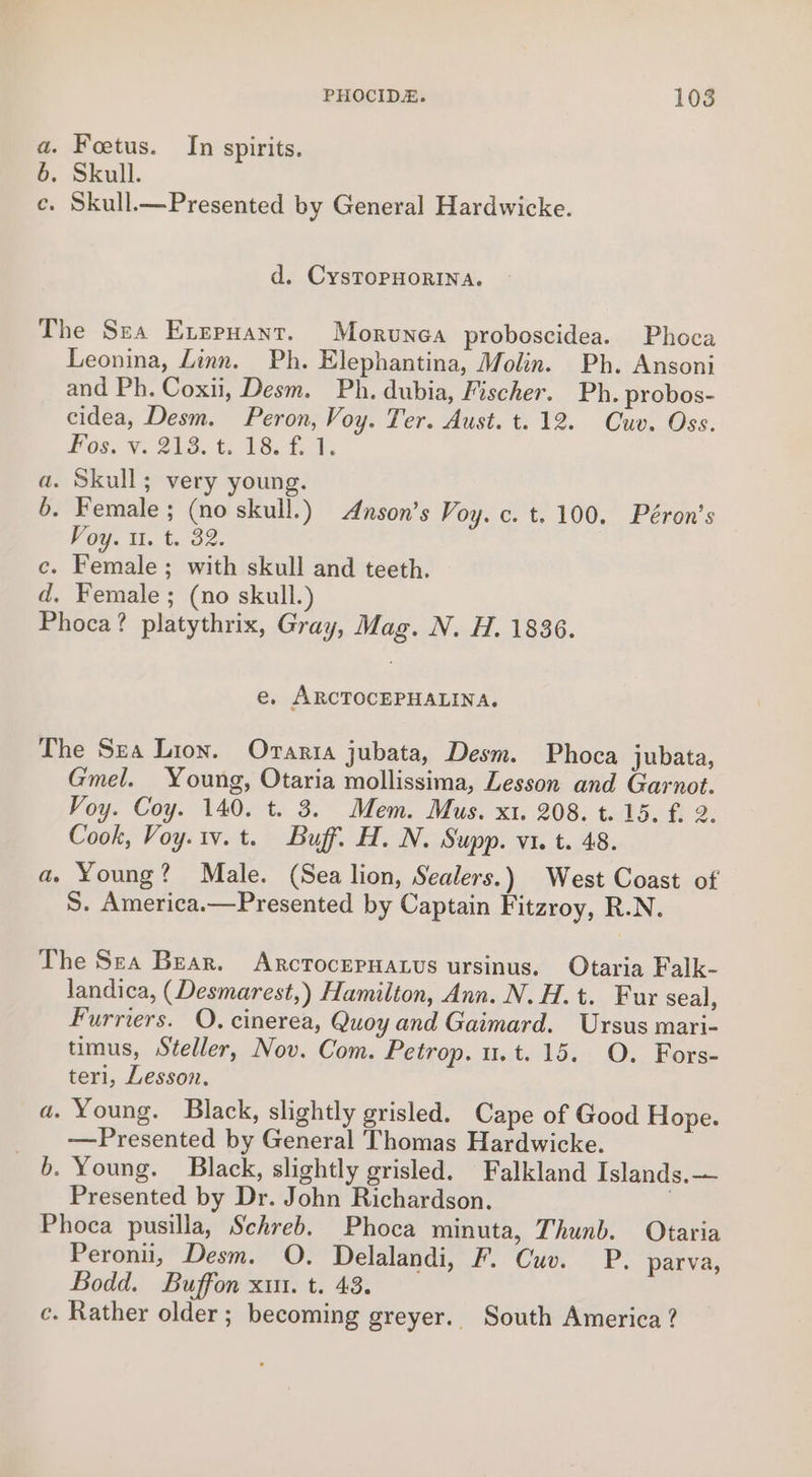 a. Foetus. In spirits. 6. Skull. ce. Skull.—Presented by General Hardwicke. d. CysToPHORINA. The Sea Erzpuant. Morvunea proboscidea. Phoca Leonina, Linn. Ph. Elephantina, Molin. Ph. Ansoni and Ph. Coxii, Desm. Ph. dubia, Fischer. Ph. probos- cidea, Desm. Peron, Voy. Ter. Aust. t. 12. Cuv. Oss. Fos; v; 212 0. 8. £1, . Skull; very young. - Female; (no skull.) Anson’s Voy. c. t. 100. Péron’s Voy. It. t. 32. c. Female; with skull and teeth. d. Female; (no skull.) Phoca? platythrix, Gray, Mag. N. H. 1836. Oa e, ARCTOCEPHALINA. The Sea Lion. Orarta jubata, Desm. Phoca jubata, Gmel. Young, Otaria mollissima, Lesson and Garnot. Voy. Coy. 140. t. 3. Mem. Mus. xt. 208. t. 15. £. 2. Cook, Voy.1v.t. Buff. H. N. Supp. vi. t. 48. a. Young? Male. (Sea lion, Sealers.) West Coast of S. America.—Presented by Captain Fitzroy, R.N. The Sea Bear. Arcrocernatus ursinus. Otaria Falk- landica, (Desmarest,) Hamilton, Ann. N.H.t. Fur seal, Furriers. O. cinerea, Quoy and Gaimard. Ursus mari- timus, Steller, Nov. Com. Petrop. tet. 18%. O. Borg teri, Lesson. Young. Black, slightly grisled. Cape of Good Hope. _ Presented by General Thomas Hardwicke. 6. Young. Black, slightly grisled. Falkland Islands. Presented by Dr. John Richardson. Phoca pusilla, Schreb. Phoca minuta, Thunb. Otaria Peronil, Desm. O. Delalandi, F. Cuv. Bodd. Buffon xut. t. 43. c. Rather older; becoming greyer.. South America? a. aS P. parva,