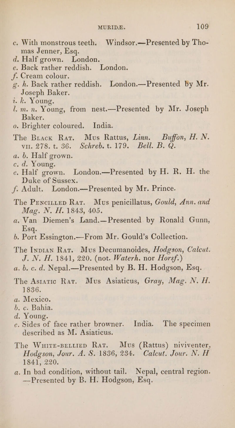 c. With monstrous teeth. Windsor.—Presented by Tho- mas Jenner, Esq. d. Half grown. London. e. Back rather reddish. London. f. Cream colour. g. h. Back rather reddish. LLondon.—Presented by Mr. Joseph Baker. 1. k. Young. l.m.n. Young, from nest.—Presented by Mr. Joseph Baker. 0. Brighter coloured. India. The Brack Rat. Mus Rattus, Linn. Buffon, H. N. vu. 278. t. 36. Schreb.t. 179. Bell. B. Q. a. b. Half grown. c. d. Young. e. Half grown. London.—Presented by H. R. H. the Duke of Sussex. f. Adult. London.—Presented by Mr. Prince. The Pencittep Rat. Mus penicillatus, Gould, Ann. and Mag. N. H. 1843, 405. a. Van Diemen’s Land.—Presented by Ronald Gunn, Esq. b. Port Essington.—From Mr. Gould’s Collection. The Inp1an Rat. Mvs Decumanoides, Hodgson, Calcut. J. N. H. 1841, 220. (not. Waterh. nor Horsf.) a. b. c. d. Nepal.—Presented by B. H. Hodgson, Esq. The Astatic Rat. Mus Asiaticus, Gray, Mag. N. H. 1836. a. Mexico. 6. c. Bahia. d. Young. e. Sides of face rather browner. India. The specimen described as M. Asiaticus. The Wuite-settiep Rat. Mus (Rattus) niviventer, Hodgson, Jour. A. S. 1836, 234. Calcut. Jour. N. H 1841, 220. a. In bad condition, without tail. Nepal, central region. —Presented by B. H. Hodgson, Esq.