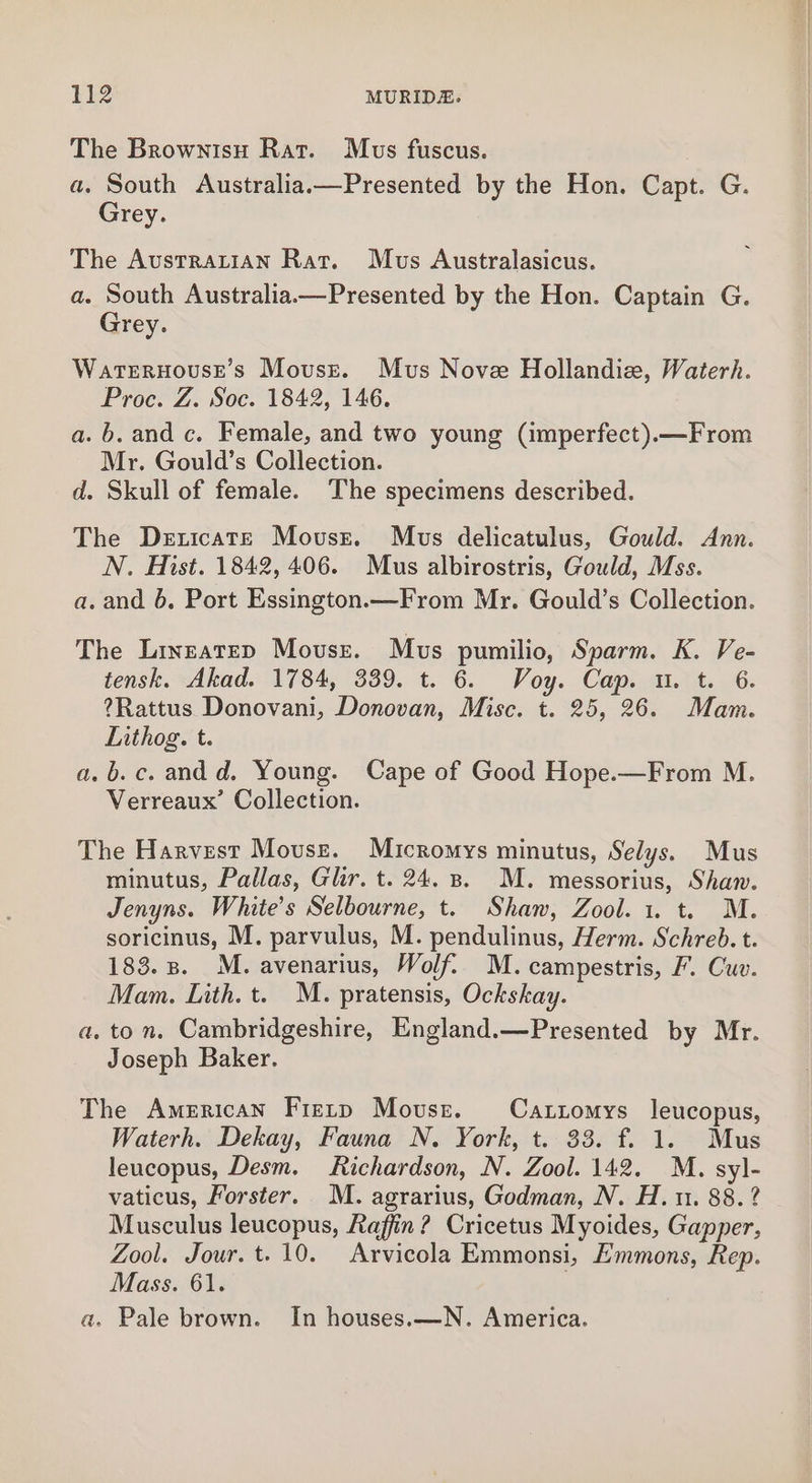 The Browntsy Rat. Mus fuscus. a. South Australia.—Presented by the Hon. Capt. G. Grey. The AustraLtiAN Rat. Mus Australasicus. a. South Australia——Presented by the Hon. Captain G. Grey. Warternouse’s Movust. Mus Nove Hollandie, Waterh. Proc. Z. Soc. 1842, 146. a. b. and c. Female, and two young (imperfect).—From Mr. Gould’s Collection. d. Skull of female. The specimens described. The Deticate Mouse. Mus delicatulus, Gould. Ann. N. Hist. 1842, 406. Mus albirostris, Gould, Mss. a. and 6. Port Essington.—From Mr. Gould’s Collection. The Lineatep Mouse. Mus pumilio, Sparm. K. Ve- tensk. Akad. 1784, 339. t. 6. Voy. Cap. u. t. 6. ?Rattus Donovani, Donovan, Misc. t. 25, 26. Mam. Lithog. t. a.b.c. andd. Young. Cape of Good Hope.—From M. Verreaux’ Collection. The Harvest Mouse. Micromys minutus, Selys. Mus minutus, Pallas, Glir. t. 24. B. M. messorius, Shaw. Jenyns. White's Selbourne, t. Shan, Zool. 1. t. M. soricinus, M. parvulus, M. pendulinus, Herm. Schreb. t. 183.8. M. avenarius, Wolf. M. campestris, F. Cuv. Mam. Lith. t. M. pratensis, Ockskay. to n. Cambridgeshire, England.—Presented by Mr. Joseph Baker. Qe = The American Fiery Mouse. Cattomys leucopus, Waterh. Dekay, Fauna N. York, t. 33. f. 1. Mus leucopus, Desm. Richardson, N. Zool. 142. M. syl- vaticus, Forster. M. agrarius, Godman, N. H.u. 88.? Musculus leucopus, Raffin? Cricetus Myoides, Gapper, Zool. Jour. t. 10. Arvicola Emmonsi, Emmons, Rep. Mass. 61. a. Pale brown. In houses.—N. America.