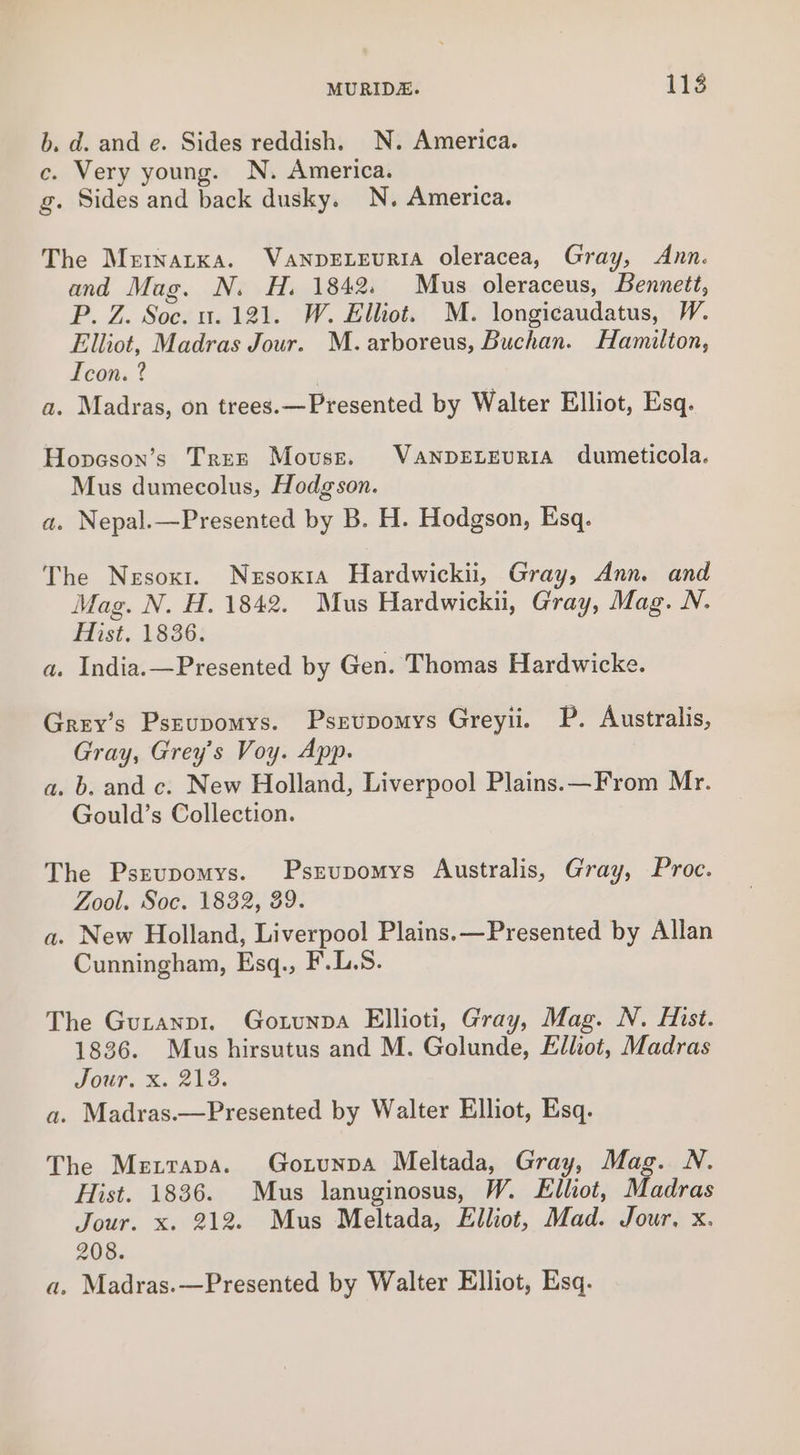 MURIDE. 1138 b, d. and e. Sides reddish. N. America. c. Very young. N. America. g. Sides and back dusky. N. America. The Merrnatka. VanpeExeuriA oleracea, Gray, Ann. and Mag. N. H. 1842. Mus oleraceus, Bennett, P. Z. Soc. u. 121. W. Elliot. M. longicaudatus, W. Elliot, Madras Jour. M. arboreus, Buchan. Hamilton, Icon. ? a. Madras, on trees. —Presented by Walter Elliot, Esq. Hopason’s Tres Mouse. VANDELEURIA dumeticola. Mus dumecolus, Hodgson. a. Nepal.—Presented by B. H. Hodgson, Esq. The Nesoxt. Nesoxia Hardwickii, Gray, Ann. and Mag. N. H. 1842. Mus Hardwickii, Gray, Mag. N. Hist. 1836. a. India.—Presented by Gen. Thomas Hardwicke. Grey’s Psrupomys. Psrvpomys Greyii. P. Australis, Gray, Grey’s Voy. App. a. b. and c. New Holland, Liverpool Plains.—From Mr. Gould’s Collection. The Psrupomys. Psrupomys Australis, Gray, Proc. Zool. Soe. 1832, 39. a. New Holland, Liverpool Plains.—Presented by Allan Cunningham, Esq., F.L.S. The Gutanpi. Gotunpa Ellioti, Gray, Mag. N. Hist. 1836. Mus hirsutus and M. Golunde, Elliot, Madras POUT. Se BLO. a. Madras.—Presented by Walter Elliot, Esq. The Merrapa. Gortunpa Meltada, Gray, Mag. N. Hist. 1836. Mus lanuginosus, W. Elliot, Madras Jour. x. 212. Mus Meltada, Elliot, Mad. Jour, x. 208. a. Madras.—Presented by Walter Elliot, Esq.