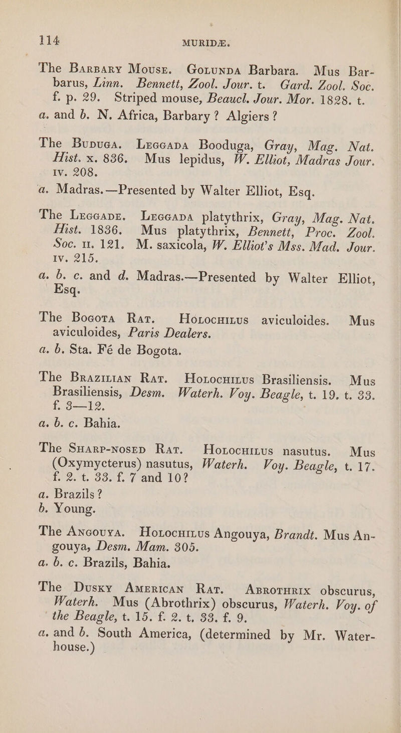 The Barpary Mousr. Gotunpa Barbara. Mus Bar- barus, Linn. Bennett, Zool. Jour. t. Gard. Zool. Soc. f. p. 29. Striped mouse, Beaucl. Jour. Mor. 1828. t. a. and b, N. Africa, Barbary? Algiers ? The Bupvea. Lxzccapa Booduga, Gray, Mag. Nat. Mist. x. 836. Mus lepidus, W. Elliot, Madras Jour. Iv. 208. a. Madras. —Presented by Walter Elliot, Esq. The Luecapz. Lxzecapa platythrix, Gray, Mag. Nat. Hist. 1836. Mus platythrix, Bennett, Proc. Zool. Soc. 11.121. M. saxicola, W. Elliot’s Mss. Mad. Jour. qV.. 210. a. 6. c. and d. Madras.—Presented by Walter Elliot, Esq. The Bogota Rar. Hoxocuitus aviculoides. Mus aviculoides, Paris Dealers. a. b. Sta. Fé de Bogota. The Brazinian Rat. Hoxocuizvus Brasiliensis. Mus Brasiliensis, Desm. Waterh. Voy. Beagle, t. 19. t. 33. 15 —12, a. 6. c. Bahia. The Suarp-nosep Rat. Hoxocuinus nasutus. Mus (Oxymycterus) nasutus, Waterh. Voy. Beagle, t..17. f. 2. t. 33. f. 7 and 10? a. Brazils? b. Young. The Ancovya. Hotocuitus Angouya, Brandt. Mus An- gouya, Desm. Mam. 305. a. b. ce. Brazils, Bahia. The Dusky American Rat. Asroturix obscurus, Waterh. Mus (Abrothrix) obscurus, Waterh. Voy. of the Beagle, t. 15. f. 2. t. 33. f. 9. a, and 6. South America, (determined by Mr. Water- house.)