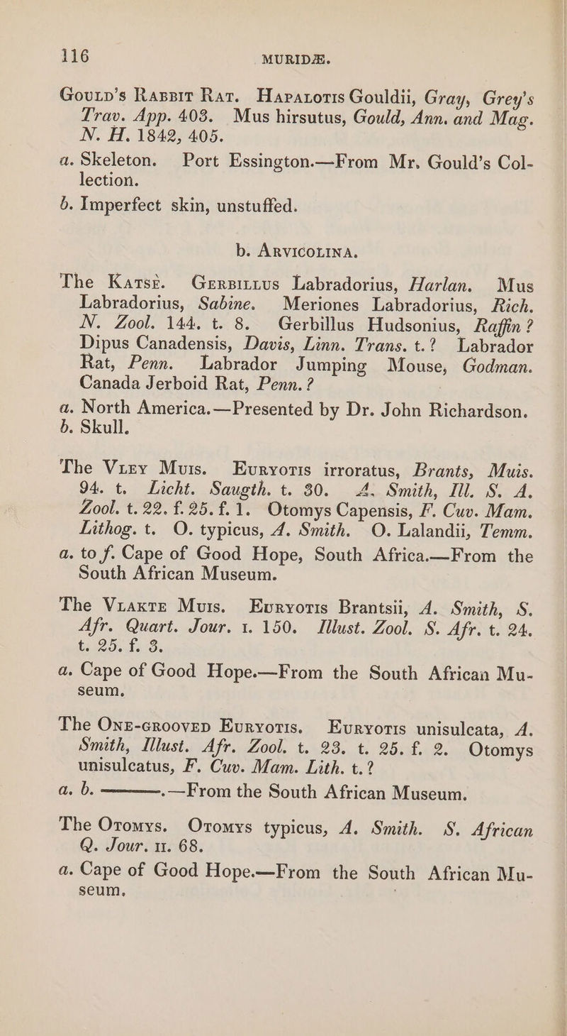 Goutp’s Raspit Rat. Hapatroris Gouldii, Gray, Grey’s Trav. App. 403. Mus hirsutus, Gould, Ann. and Mag. N. H. 1842, 405. a. Skeleton. Port Essington.—From Mr. Gould’s Col- lection. 6. Imperfect skin, unstuffed. b. ARVICOLINA. The Kartsz. Gersittus Labradorius, Harlan. Mus Labradorius, Sabine. Meriones Labradorius, Rich. N. Zool. 144, t. 8. Gerbillus Hudsonius, Raffin ? Dipus Canadensis, Davis, Linn. Trans. t.?2 Labrador Rat, Penn. Labrador Jumping Mouse, Godman. Canada Jerboid Rat, Penn. ? a. North America.—Presented by Dr. John Richardson. b. Skull. The Vizy Muis. Evryoris irroratus, Brants, Muis. 94. t. Licht. Saugth. t. 30. 4: Smith, Ill. S. A, Zool. t. 22. f.25.f.1. Otomys Capensis, F. Cuv. Mam. Lithog. t. O. typicus, 4. Smith. O. Lalandii, Temm. a. to f. Cape of Good Hope, South Africa.—From the South African Museum. The Viaxrze Muis. Ewvryortis Brantsii, A. Smith, S. Afr. Quart. Jour. 1.150. IIlust. Zool. S. Afr. t. 24. te 25ef5 Se a. Cape of Good Hope.—From the South African Mu- seum, The OnE-croovep Evryotis. Evryortts unisuleata, A. Smith, Illust. Afr. Zool. t. 23. t. 25. f. 2. Otomys unisulcatus, F. Cuv. Mam. Lith. t.? a. b. .-—From the South African Museum. The Oromys. Oromys typicus, A. Smith. S. African Q. Jour. 1. 68. a. Cape of Good Hope.—From the South African Mu- seum, ;