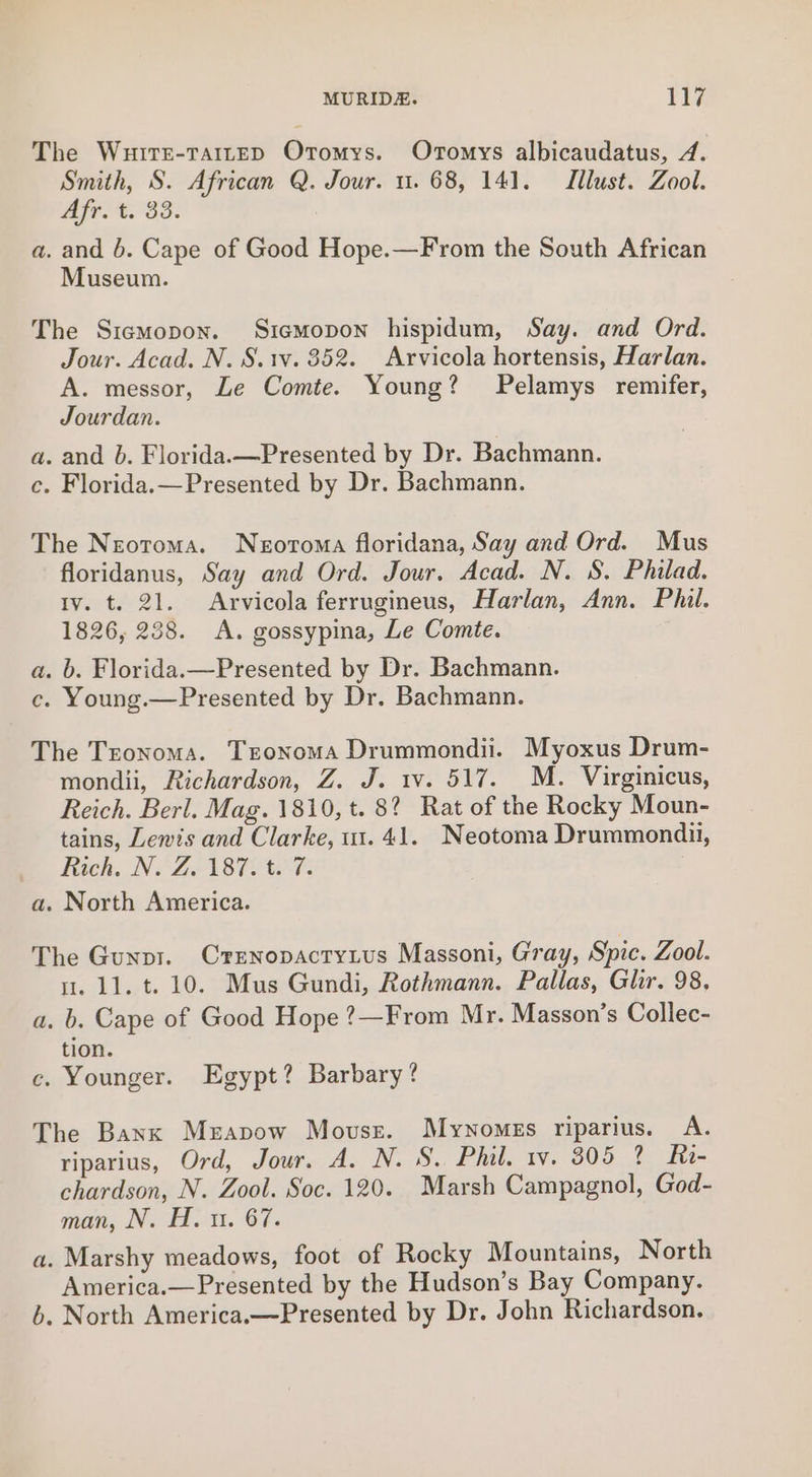The Wuitr-tTaiteD Otomys. Oromys albicaudatus, 4. Smith, S. African Q. Jour. u. 68, 141. Lllust. Zool. Ayre. 33. a. and b. Cape of Good Hope.—From the South African Museum. The Sitcmopon. Siemopon hispidum, Say. and Ord. Jour. Acad. N. S.1v. 352. Arvicola hortensis, Harlan. A. messor, Le Comte. Young? Pelamys remifer, Jourdan. a. and b. Florida.—Presented by Dr. Bachmann. c. Florida.—Presented by Dr. Bachmann. The Neotoma. Neortoma floridana, Say and Ord. Mus floridanus, Say and Ord. Jour. Acad. N. 8S. Philad. Iv. t. 21. Arvicola ferrugineus, Harlan, Ann. Phil. 1826, 238. &lt;A. gossypina, Le Comte. a. b. Florida.—Presented by Dr. Bachmann. c. Young.—Presented by Dr. Bachmann. The Tronoma. Tzonoma Drummondii. Myoxus Drum- mondii, Richardson, Z. J. 1v. 517. M. Virginicus, Reich. Berl. Mag. 1810, t. 8? Rat of the Rocky Moun- tains, Lewis and Clarke, ut. 41. Neotoma Drummondi, Rach. NEZAST CT: a. North America. The Gunp1. Crrnopactyius Massoni, Gray, Spic. Zool. i. 11. t. 10. Mus Gundi, Rothmann. Pallas, Ghr. 98, a. b. Cape of Good Hope ?—From Mr. Masson’s Collec- tion. c. Younger. Egypt? Barbary? The Banx Merapow Movuss. Mynomezs riparius. A. riparius, Ord, Jour. A. N. S.. Pita ow. 805.7. d- chardson, N. Zool. Soc. 120. Marsh Campagnol, God- man, N. H. 1. 67. a. Marshy meadows, foot of Rocky Mountains, North America.—Presented by the Hudson’s Bay Company. 6. North America.—Presented by Dr. John Richardson.