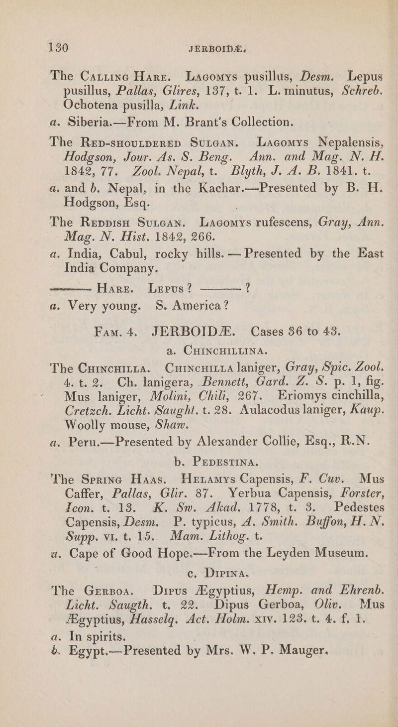 The Cattinc Hare. Lacomys pusillus, Desm. Lepus pusillus, Pallas, Glires, 137, t. 1. L. minutus, Schreb. Ochotena pusilla, Link. a. Siberia.—From M. Brant’s Collection. The Rep-sHoutperep Sutean. Lacomys Nepalensis, Hodgson, Jour. As. S. Beng. Ann. and Mag. N. H. 1842, 77. Zool. Nepal, t. Blyth, J. A. B. 1841. t. a, and b. Nepal, in the Kachar.—Presented by B. H. Hodgson, Esq. | The Reppisn Sutcan. Lacomys rufescens, Gray, Ann. Mag. N. Hist. 1842, 266. a. India, Cabul, rocky hills. — Presented by the East India Company. Hare. Lepvus ? ? a. Very young. 8S. America? Fam. 4. JERBOIDZE. Cases 36 to 43, a. CHINCHILLINA. The Curncnitia. Curincutxra laniger, Gray, Spic. Zool. 4. t. 2. Ch. lanigera, Bennett, Gard. Z. S. p. 1, fig. Mus laniger, Molini, Chili, 267. Eriomys cinchilla, Cretzch. Licht. Saught. t. 28. Aulacodus laniger, Kaup. Woolly mouse, Shaw. a. Peru.—Presented by Alexander Collie, Esq., R.N. b. PEDESTINA. The Serine Haas. HeEtamys Capensis, Ff. Cuv. Mus Caffer, Pallas, Glir. 87. Yerbua Capensis, forster, Icon. t. 138. K. Sw. Akad. 1778, t. 3. Pedestes Capensis, Desm. P. typicus, 4. Smith. Buffon, H.N. | Supp. vi. t. 15.. Mam. Lithog. t. a. Cape of Good Hope.—From the Leyden Museum. c. Dipina. The Grrsoa. Dirpus Aigyptius, Hemp. and Ehrenb. Licht. Saugth. t. 22. Dipus Gerboa, Oliv. Mus Egyptius, Hasselqg. Act. Holm. x1v. 123. t. 4. f. I. a. In spirits. 6. Egypt.— Presented by Mrs. W. P. Mauger.