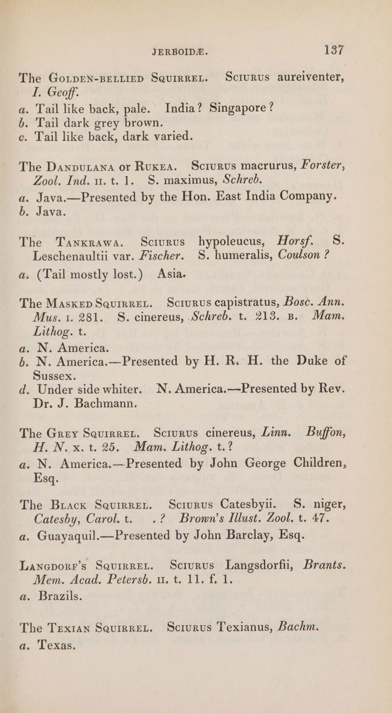 The Go.pEN-BELLIED SeurrrREL. Sciurus aureiventer, I. Geoff. a. Tail like back, pale. India? Singapore ? 6. Tail dark grey brown. ce. Tail like back, dark varied. The Danpuzana or Ruxea. Scrurvus macrurus, Forster, Zool. Ind. u. t. 1. S. maximus, Schreb. a. Java.—Presented by the Hon. East India Company. b. Java. The Tanxrawa. Scrurus hypoleucus, Horsf. S. Leschenaultii var. Fischer. S. humeralis, Coulson ? a. (Tail mostly lost.) Asia. The Maskep SquirreL. Scrurus capistratus, Bosc. Ann. Mus. 1. 281. S. cinereus, Schreb. t. 213. B. Mam. Lithog. t. a. N. America. 6. N. America.—Presented by H. R. H. the Duke of Sussex. d. Under side whiter. N.America.—Presented by Rev. Dr. J. Bachmann. The Grey Sauirret. Scrurus cinereus, Linn. Buffon, H. N.x. t. 25. Mam. Inthog. t.? a. N. America.—Presented by John George Children, Esq. The Brack Seurrret. Sciurus Catesbyii. S. niger, Catesby, Carol.t. .? Brown's Illust. Zool. t. 47. a. Guayaquil.—Presented by John Barclay, Esq. Laneporr’s SauirrEL. Scrurus Langsdorfii, Brants. Mem. Acad. Petersb. u. t. 11. f. 1. a. Brazils. The Texran Squirret. Sciurus Texianus, Bachm. a. Texas.