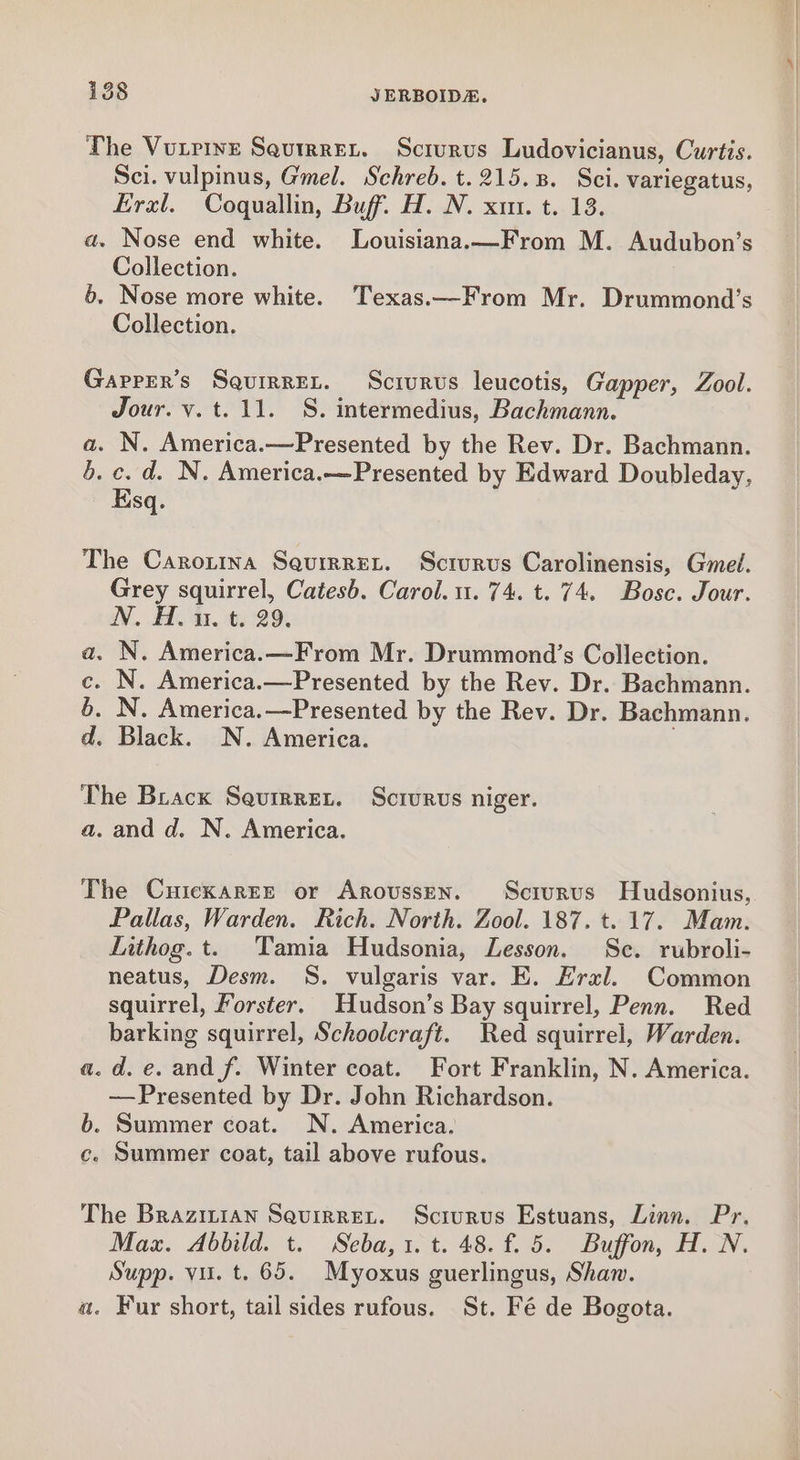 The Vutrive SeutrreL. Scrurus Ludovicianus, Curtis. Sci. vulpinus, Gmel. Schreb. t. 215.8. Sci. variegatus, Erxl. Coquallin, Buff. H. N. xi. t. 13. a. Nose end white. Louisiana.—From M. Audubon’s Collection. 6, Nose more white. Texas.—From Mr. Drummond’s Collection. Gaprer’s SauirreLt. Scivrvus leucotis, Gapper, Zool. Jour. v. t. 11. S. intermedius, Bachmann. a. N. America.—Presented by the Rev. Dr. Bachmann. b. c. d. N. America.—Presented by Edward Doubleday, Esq. The Carortina Saurrret. Scrurus Carolinensis, Gmed. Grey squirrel, Catesb. Carol. u. 74. t. 74. Bosc. Jour. N. H. 1. t. 29. a. N. America.—From Mr. Drummond’s Collection. c. N. America.—Presented by the Rev. Dr. Bachmann. 6. N. America.—Presented by the Rev. Dr. Bachmann. d. Black. N. America. 7 The Brack Saurrret. Scrurus niger. a. and d. N. America. The Cuickarre or Arovussen. Scrurus Hudsonius, Pallas, Warden. Rich. North. Zool. 187. t. 17. Mam. Lithog. t. Tamia Hudsonia, Lesson. Se. rubroli- neatus, Desm. S. vulgaris var. E. Eral. Common squirrel, Forster. Hudson’s Bay squirrel, Penn. Red barking squirrel, Schoolcraft. Red squirrel, Warden. a.d.e.and f. Winter coat. Fort Franklin, N. America. —Presented by Dr. John Richardson. b. Summer coat. N. America. c. Summer coat, tail above rufous. The Brazinian SquirReL. Scrurus Estuans, Linn. Pr, Max. Abbild. t. Seba, 1. t. 48. f. 5. Buffon, H. N. Supp. vu. t. 65. Myoxus guerlingus, Shan. a. Fur short, tail sides rufous. St. Fé de Bogota.