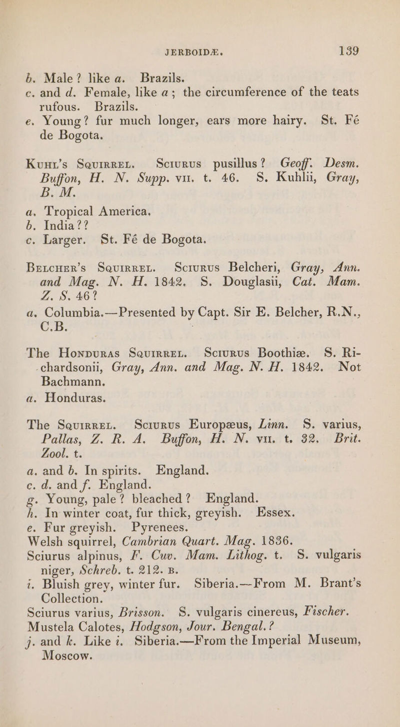 6. Male? like a. Brazils. c. and d. Female, like a; the circumference of the teats rufous. Brazils. e. Young? fur much longer, ears more hairy. St. Fé de Bogota. Kuut’s Seurrret. Scrurus pusillus? Geoff. Desm. Buffon, H. N. Supp. vu. t. 46. S. Kuhli, Gray, B. M. a, Tropical America, b. India?? c. Larger. St. Fé de Bogota. Betcuer’s Saquirret. Scrurvs Belcheri, Gray, Ann. and Mag. N. H. 1842. 8S. Douglasii, Cat. Mam. Z. S. 462 a. Columbia.—Presented by Capt. Sir E. Belcher, R.N., C.B. The Honpuras Sauirret. Sciurus Boothie. S. Ri- -chardsonii, Gray, Ann. and Mag. N. H. 1842. Not Bachmann. a. Honduras. The Sauirret. Sciurus Europeus, Linn. S. varius, Pallas, Z. R. A. Buffon, H. N. vu. t. 32. Brit. Zool. t. a. and b. In spirits. England. c. d. and f. England. g. Young, pale? bleached? England. h. In winter coat, fur thick, greyish. Essex. e. Fur greyish. Pyrenees. Welsh squirrel, Cambrian Quart. Mag. 1836. Sciurus alpinus, F. Cuv. Mam. Lithog. t. 8S. vulgaris niger, Schreb. t. 212. B. i. Bluish grey, winter fur. Siberia.—From M. Brant’s Collection. Sciurus varius, Brisson. S. vulgaris cinereus, Fischer. Mustela Calotes, Hodgson, Jour. Bengal. ? j. and k. Like i. Siberia.—From the Imperial Museum, Moscow.