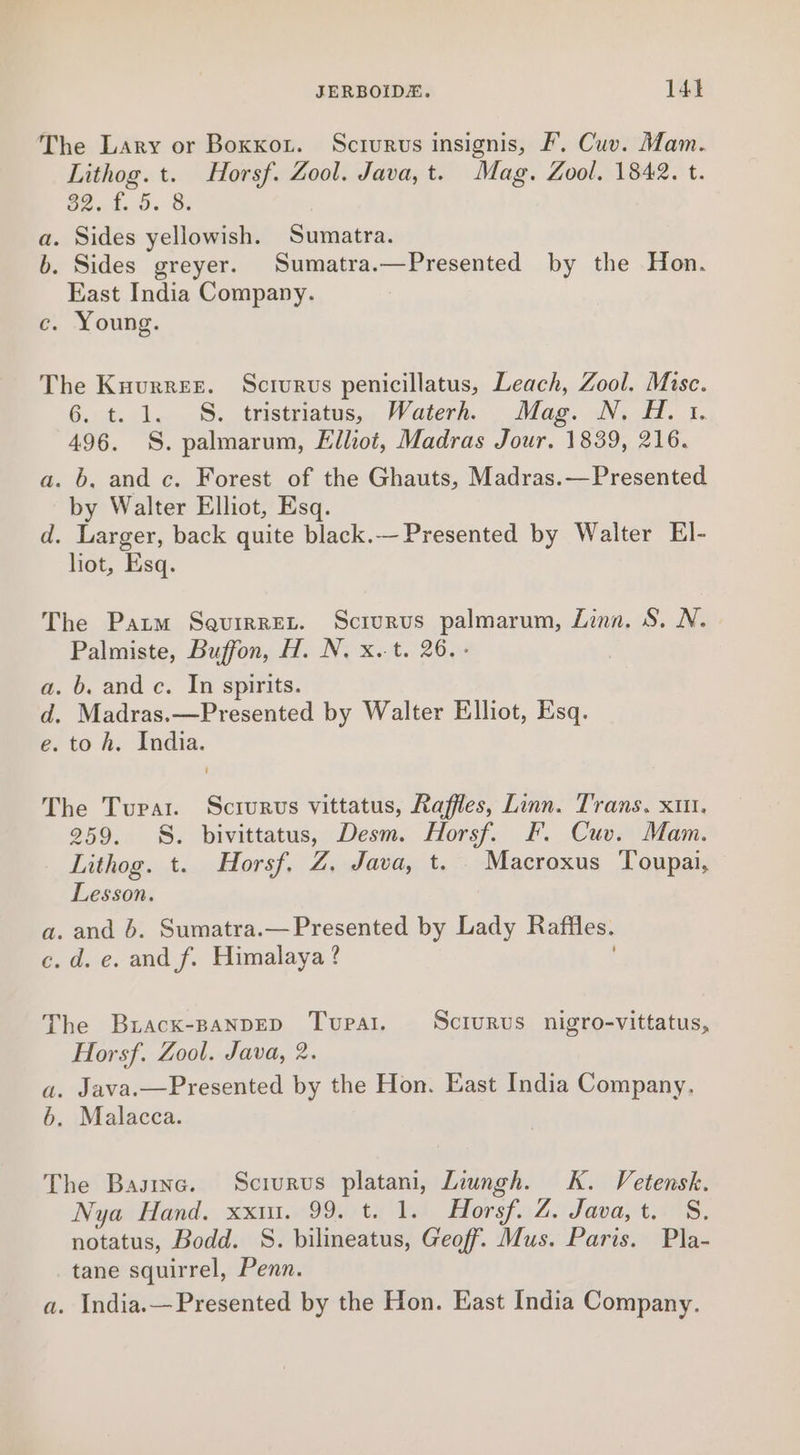 The Lary or Boxxor. Scrurus insignis, F. Cuv. Mam. Lithog. t. Horsf. Zool. Java, t. Mag. Zool. 1842. t. Sek, 0. 8: a. Sides yellowish. Sumatra. b. Sides greyer. Sumatra.—Presented by the Hon. East India Company. ee -Loung. The Knurrer. Scrurvus penicillatus, Leach, Zool. Misc. 6.-6..1. S.trstriatis.. Water. Mag. wNidd «i 496. S. palmarum, Elliot, Madras Jour. 1839, 216. a. b, and c. Forest of the Ghauts, Madras.—Presented by Walter Elhot, Esq. d. Larger, back quite black.— Presented by Walter El- liot, Esq. The Patm Saurrret. Scrurus palmarum, Linn. S. N. Palmiste, Buffon, H. N. x. t. 26.- a. b. and c. In spirits. d. Madras.—Presented by Walter Elliot, Esq. e. toh. India. The Tupat. Scrurus vittatus, Raffles, Linn. Trans. xiu. 259. §. bivittatus, Desm. Horsf. F. Cuv. Mam. Lithog. t. Horsf. Z. Java, t. Macroxus Toupai, Lesson. a. and 6. Sumatra.—Presented by Lady Raffles. c. d. e. and f. Himalaya? The Brackx-BanpED Tupal. Sciurus nigro-vittatus, Horsf. Zool. Java, 2. a. Java.—Presented by the Hon. East India Company, 6. Malacca. The Basinc. Sciurus platani, Liungh. K. Vetensk. Nya Hand, xxm. 99. t. 1. Horsf. Z. Java, t. S. notatus, Bodd. S. bilineatus, Geoff. Mus. Paris. Pla- tane squirrel, Penn.